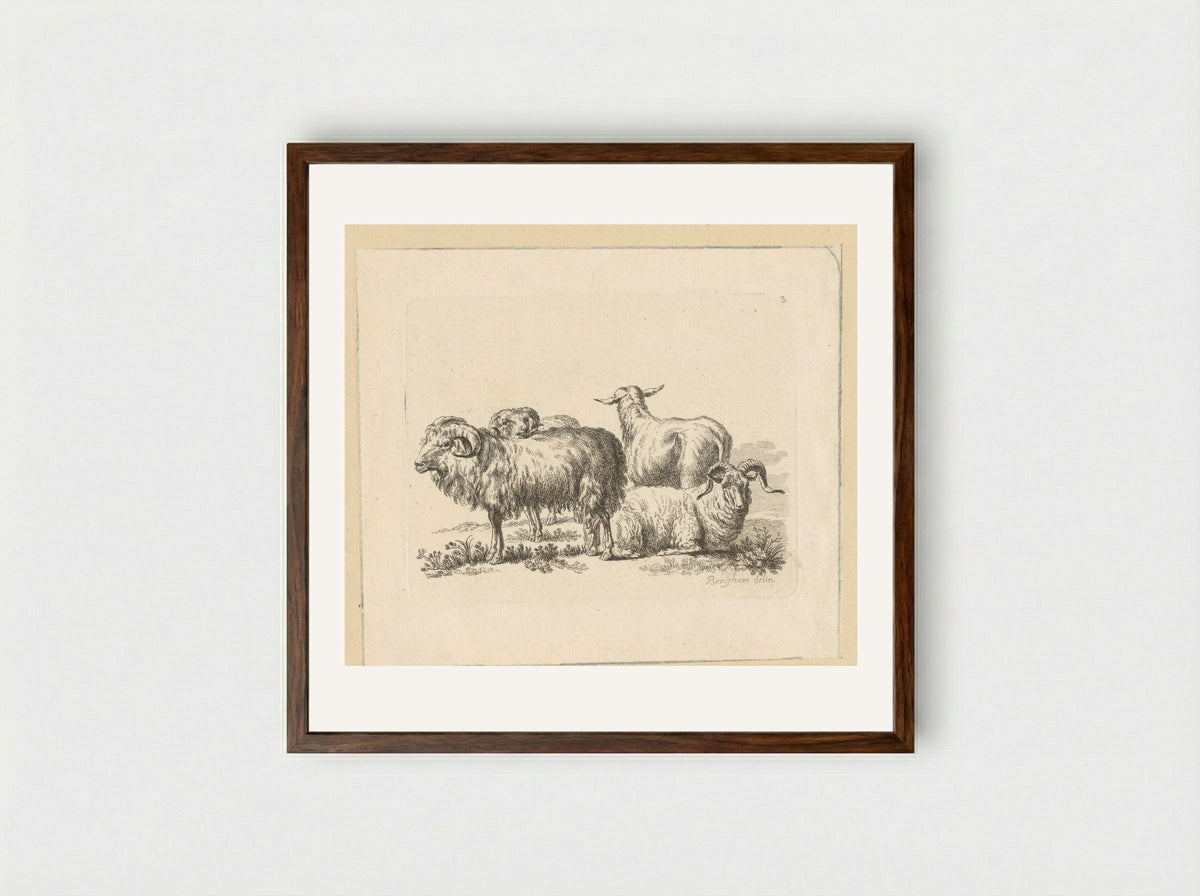 Drie rammen en een schaap - François Vivares - Framed Print Dark Wood
