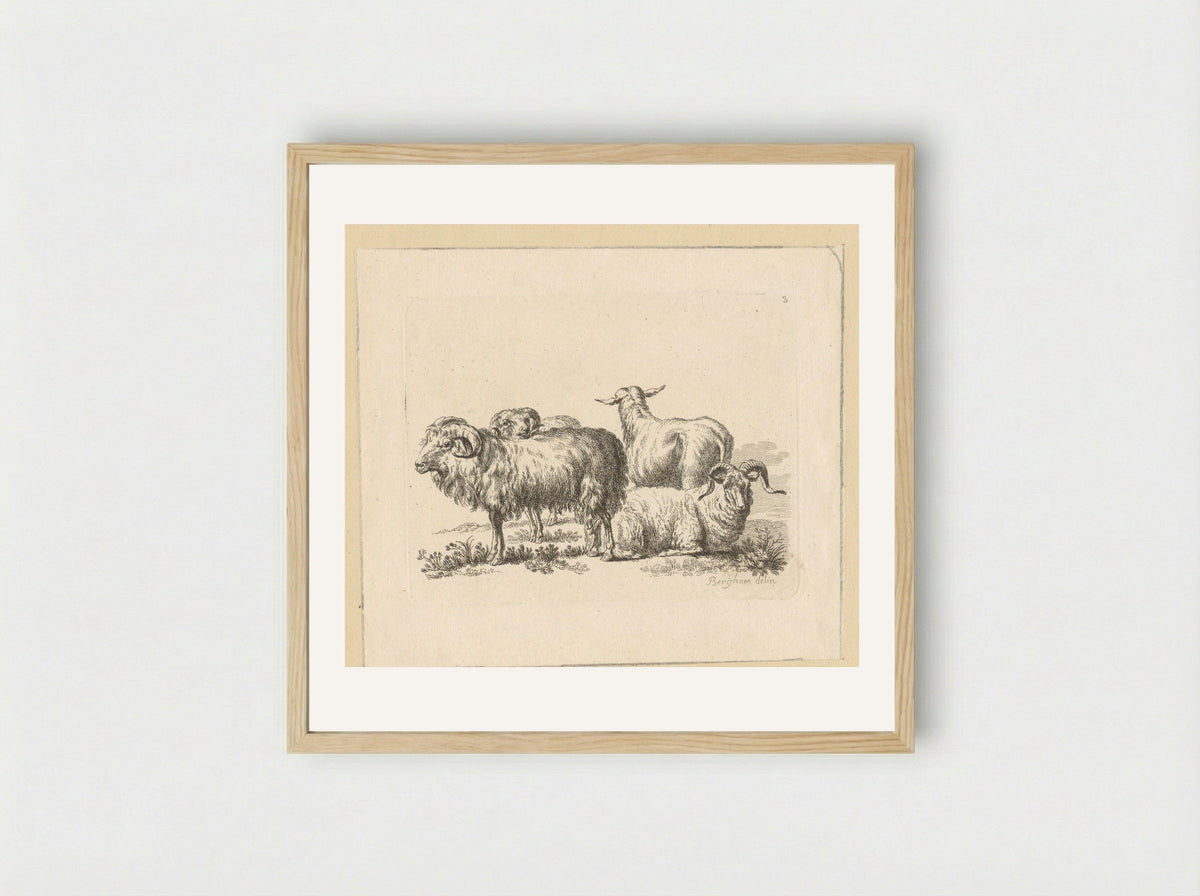 Drie rammen en een schaap - François Vivares - Framed Print Wood