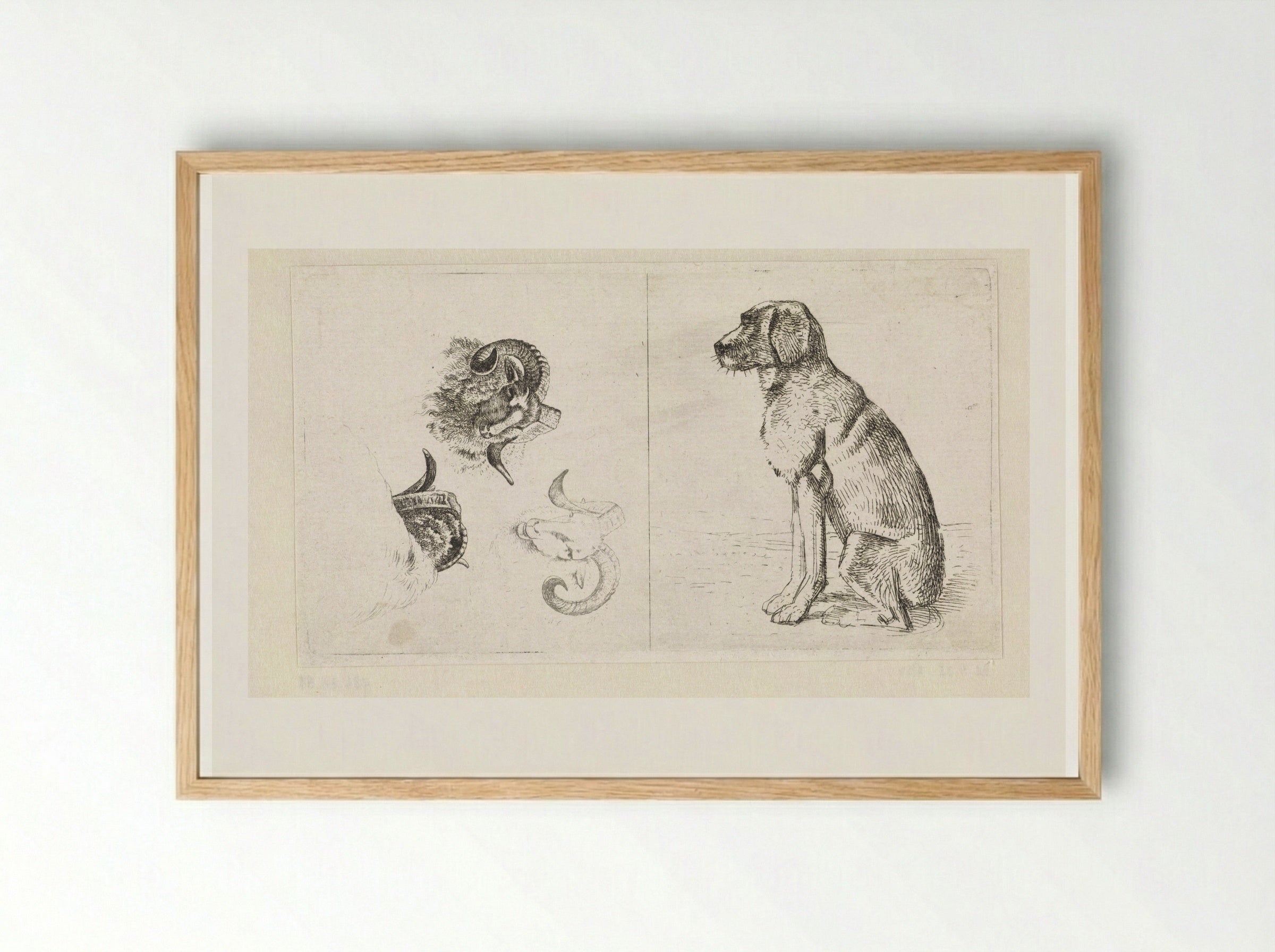 Drie ramskoppen / Zittende hond - Wouter Johannes van Troostwijk - Framed Print Wood