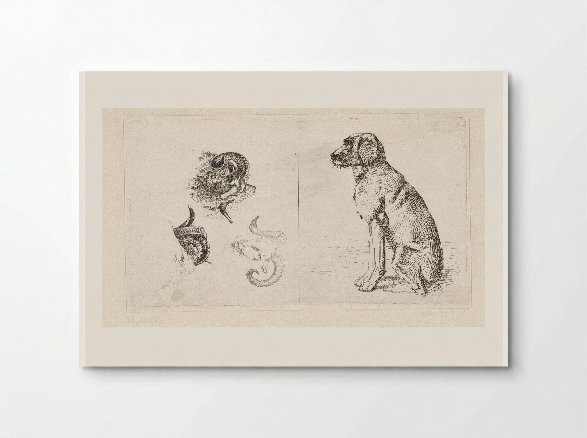 Drie ramskoppen / Zittende hond - Wouter Johannes van Troostwijk - Poster