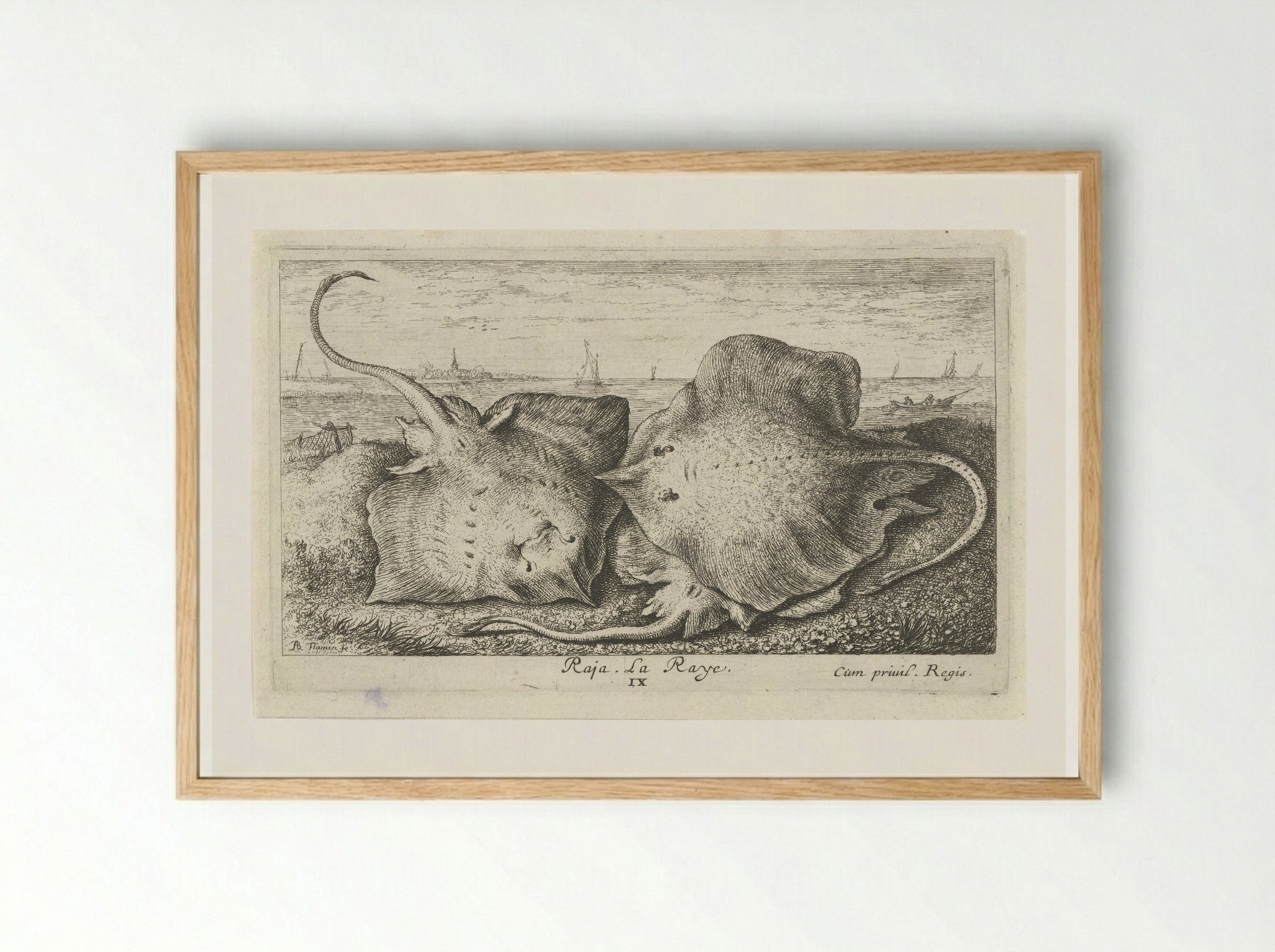 Drie roggen op het strand - Albert Flamen - Framed Print Wood