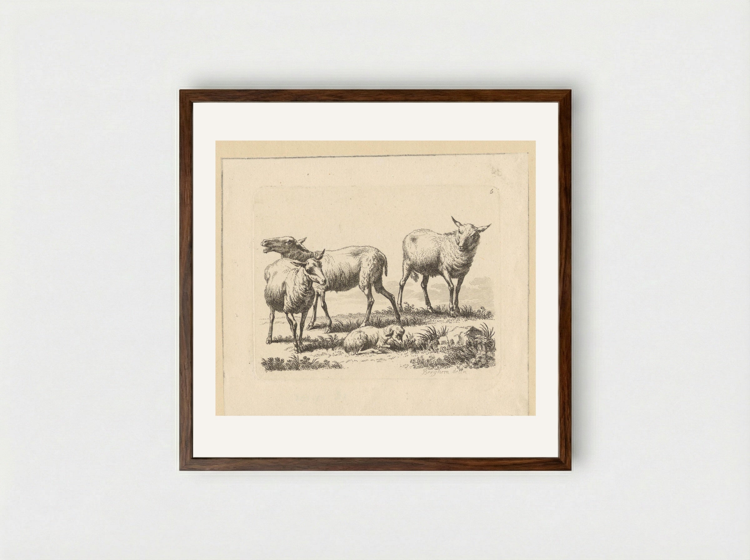 Drie schapen en een lam - François Vivares - Framed Print Dark Wood