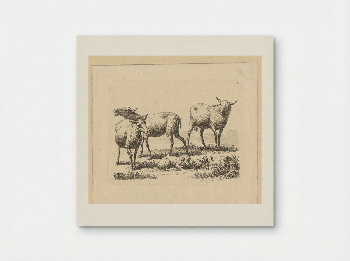 Drie schapen en een lam - François Vivares - Poster