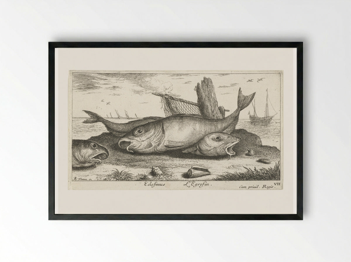 Drie schelvissen op het strand - Albert Flamen - Framed Print Black