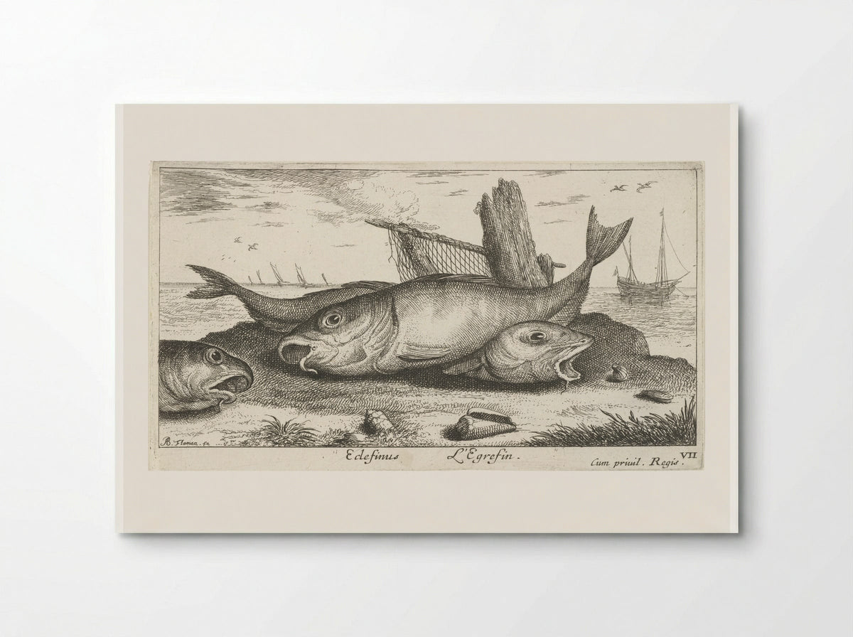 Drie schelvissen op het strand - Albert Flamen - Poster