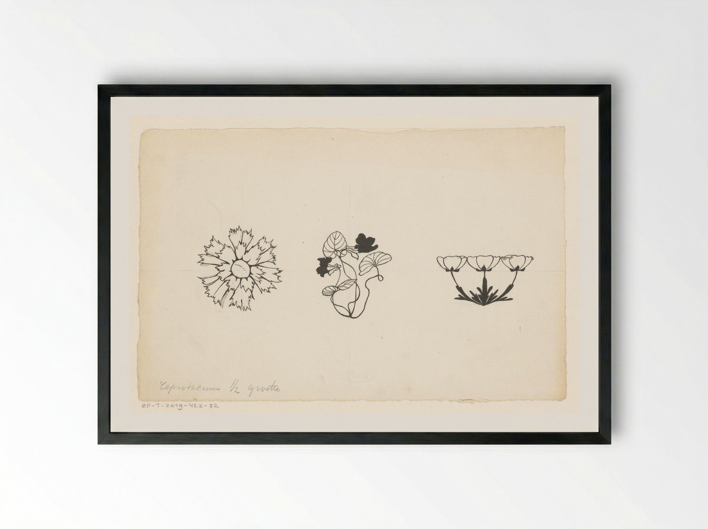 Drie soorten bloemen - Willem Wenckebach - Framed Print Black