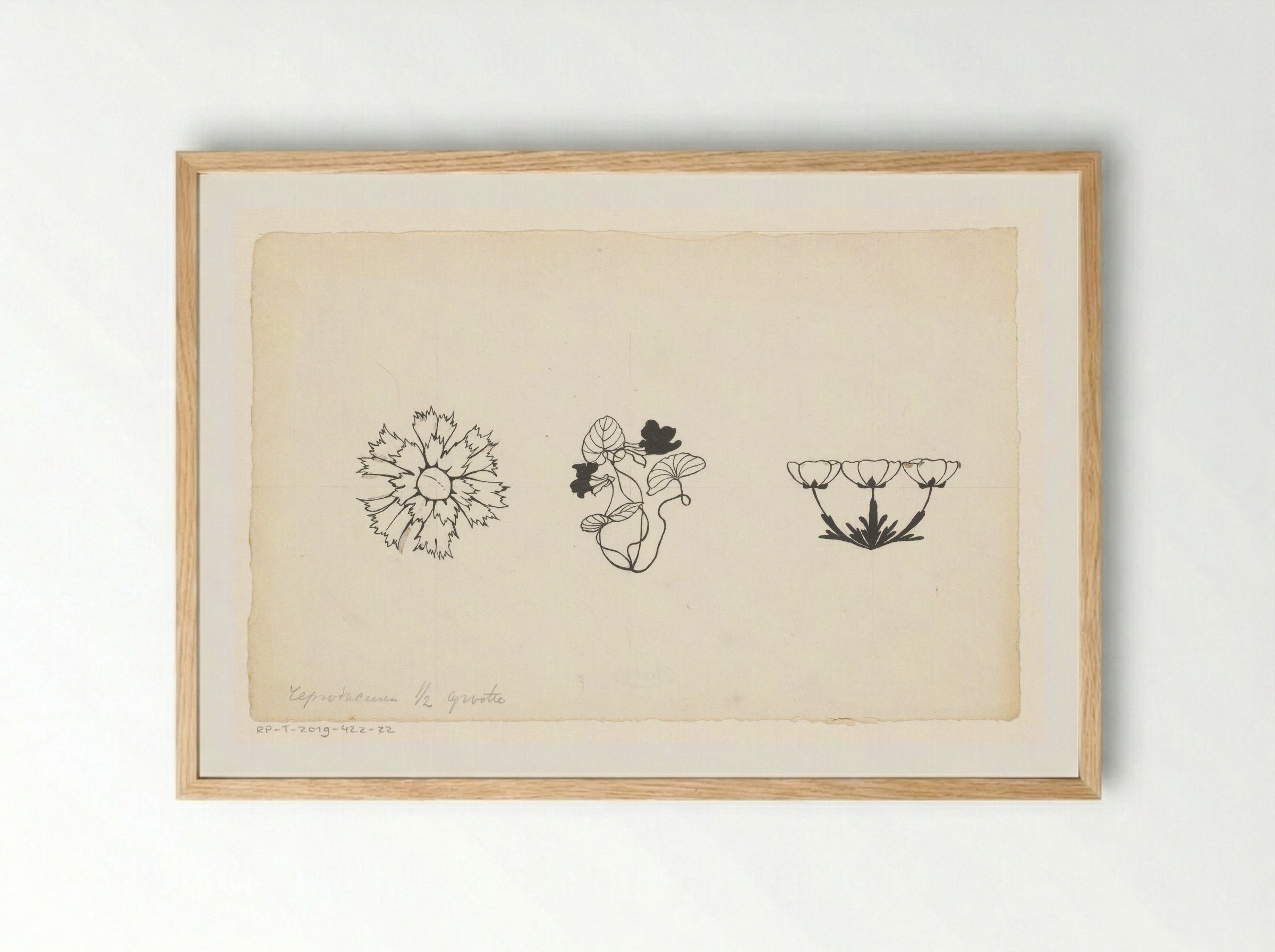 Drie soorten bloemen - Willem Wenckebach - Framed Print Wood