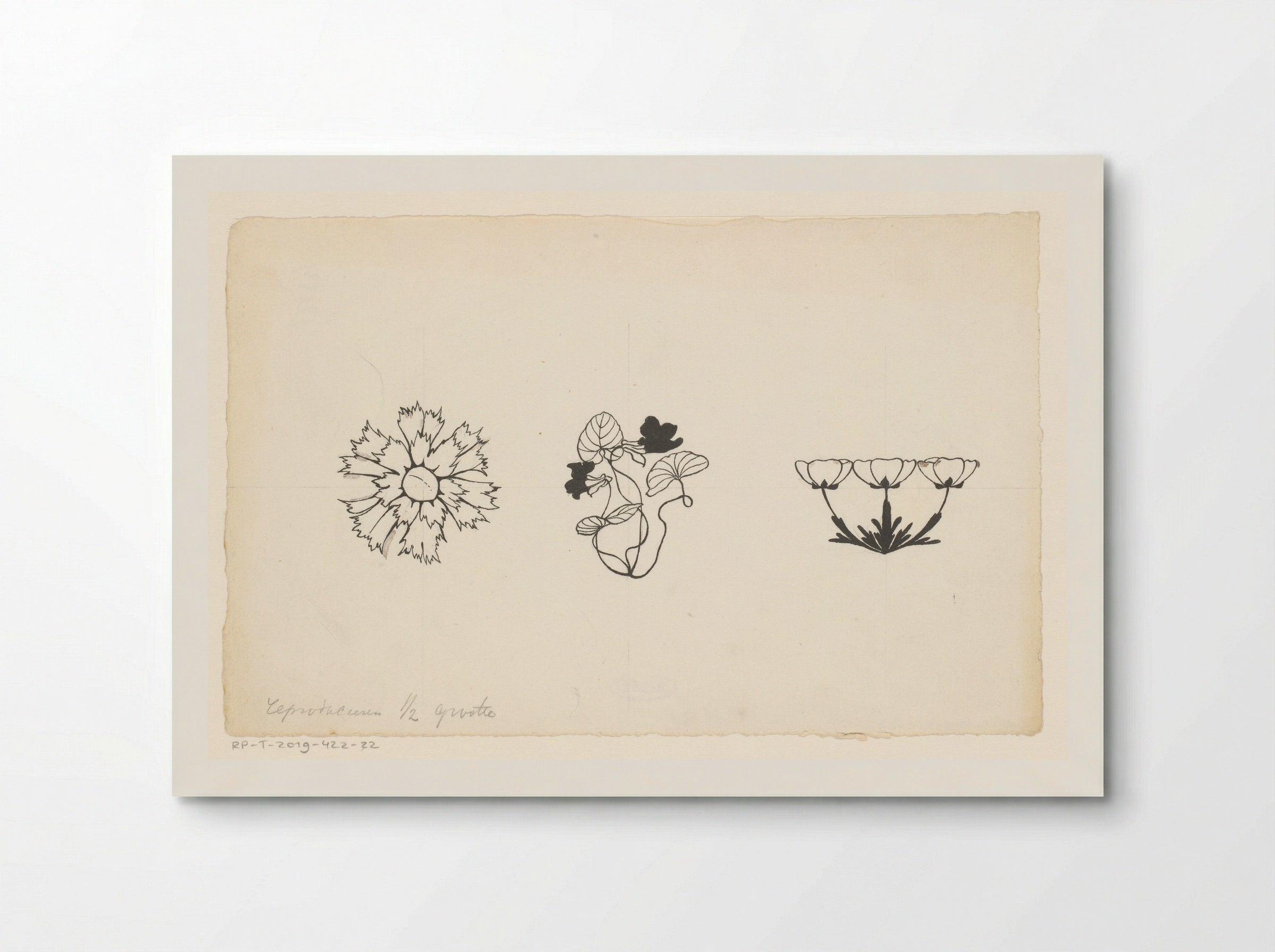 Drie soorten bloemen - Willem Wenckebach - Poster