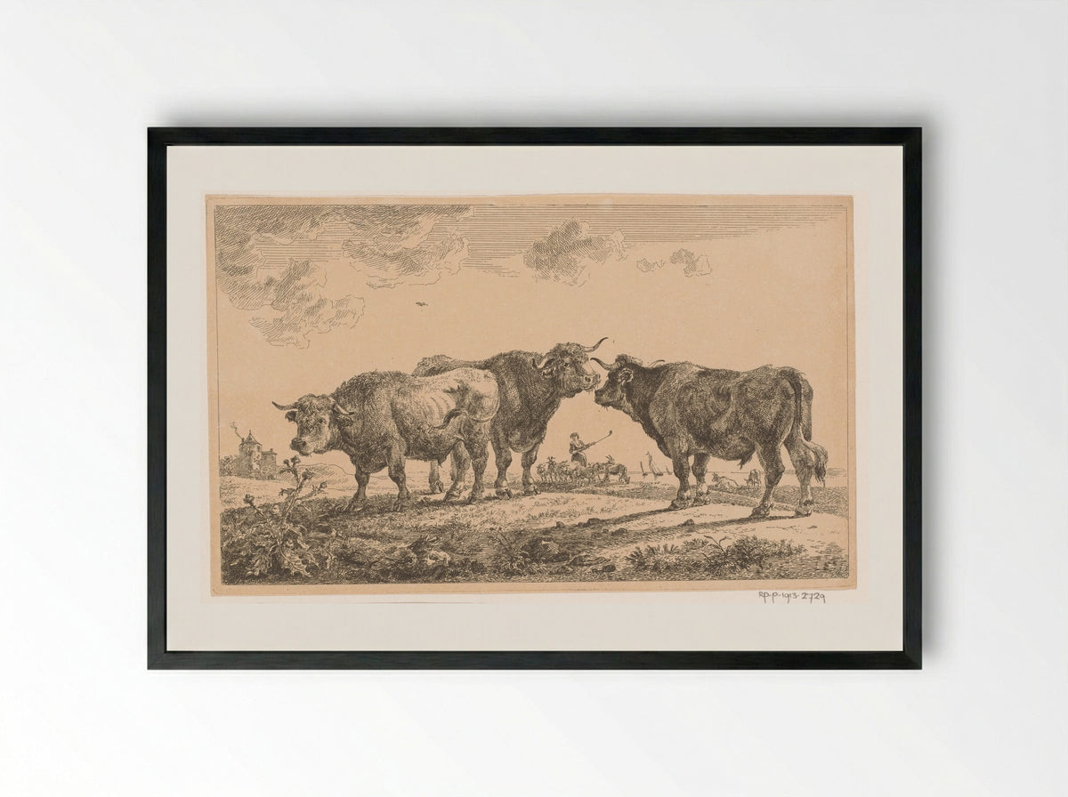 Drie stieren (Three Bulls) - Jean Baptiste de Roy - Framed Print Black