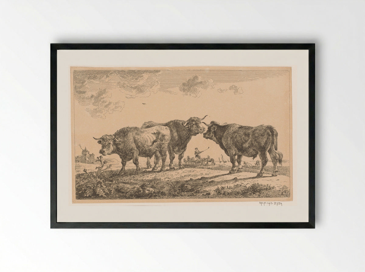 Drie stieren (Three Bulls) - Jean Baptiste de Roy - Framed Print Black