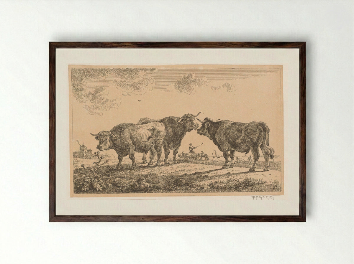 Drie stieren (Three Bulls) - Jean Baptiste de Roy - Framed Print Dark Wood