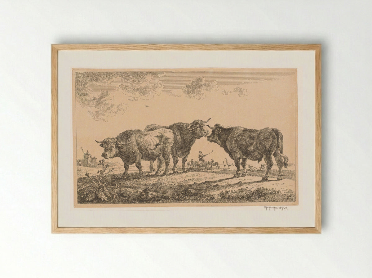 Drie stieren (Three Bulls) - Jean Baptiste de Roy - Framed Print Wood