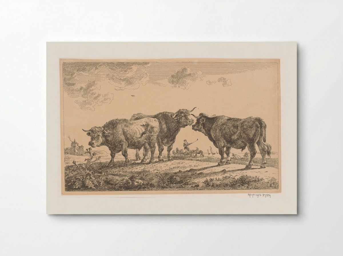 Drie stieren (Three Bulls) - Jean Baptiste de Roy - Poster