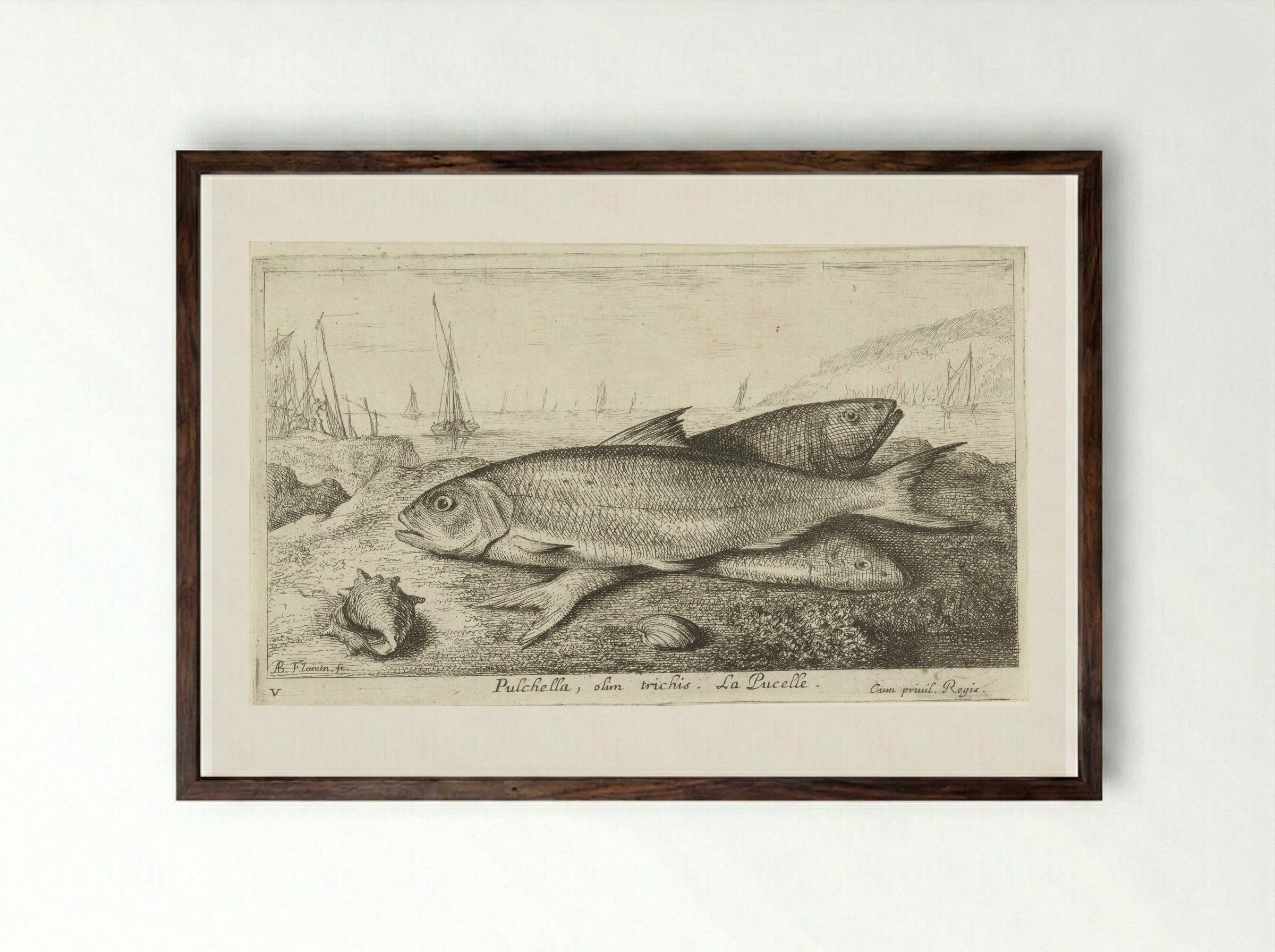 Drie vissen op het strand - Jacques van Merlen - Framed Print Dark Wood