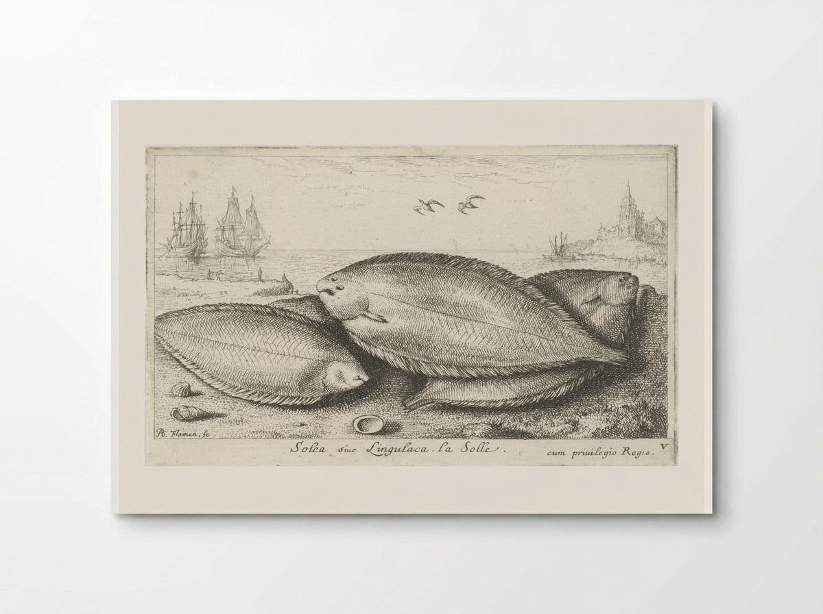 Drie zeetongen op het strand - Albert Flamen - Poster
