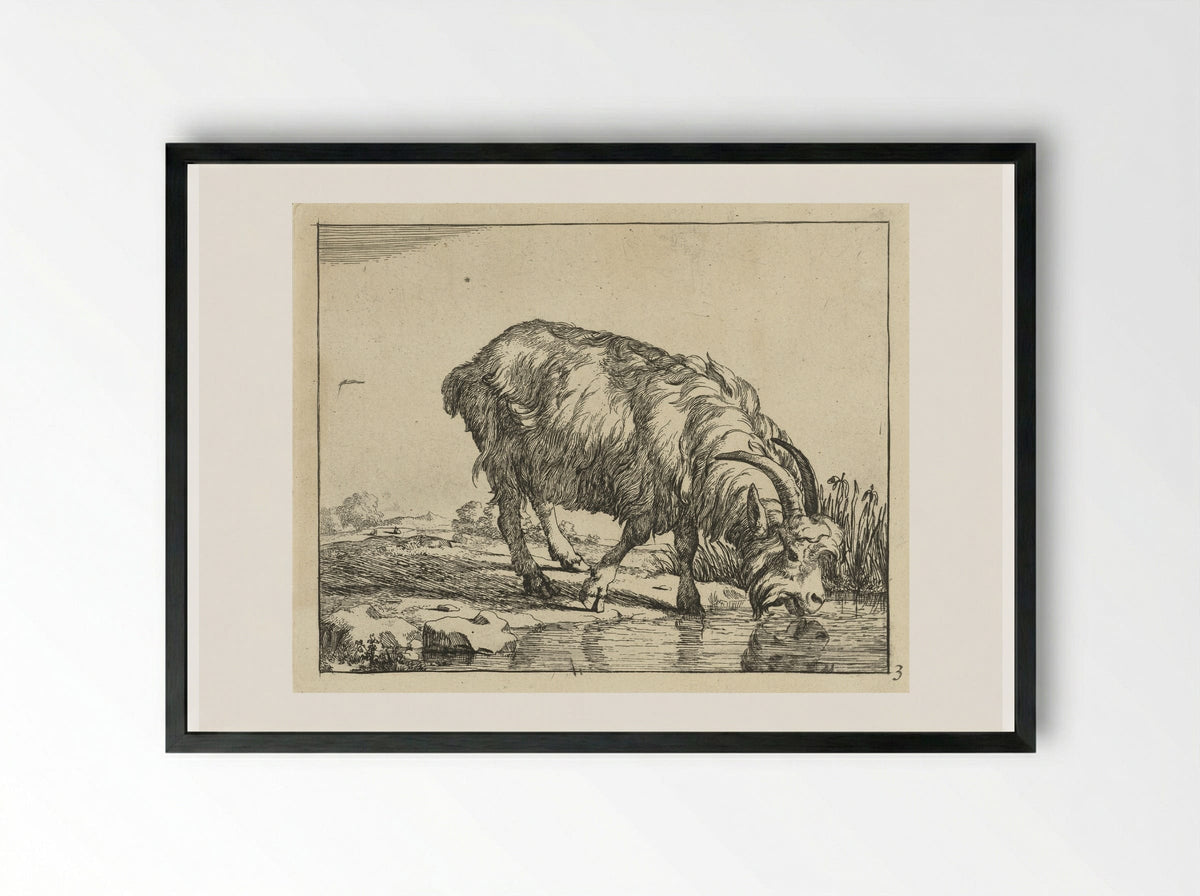 Drinkende bok - Marcus de Bye - Framed Print Black