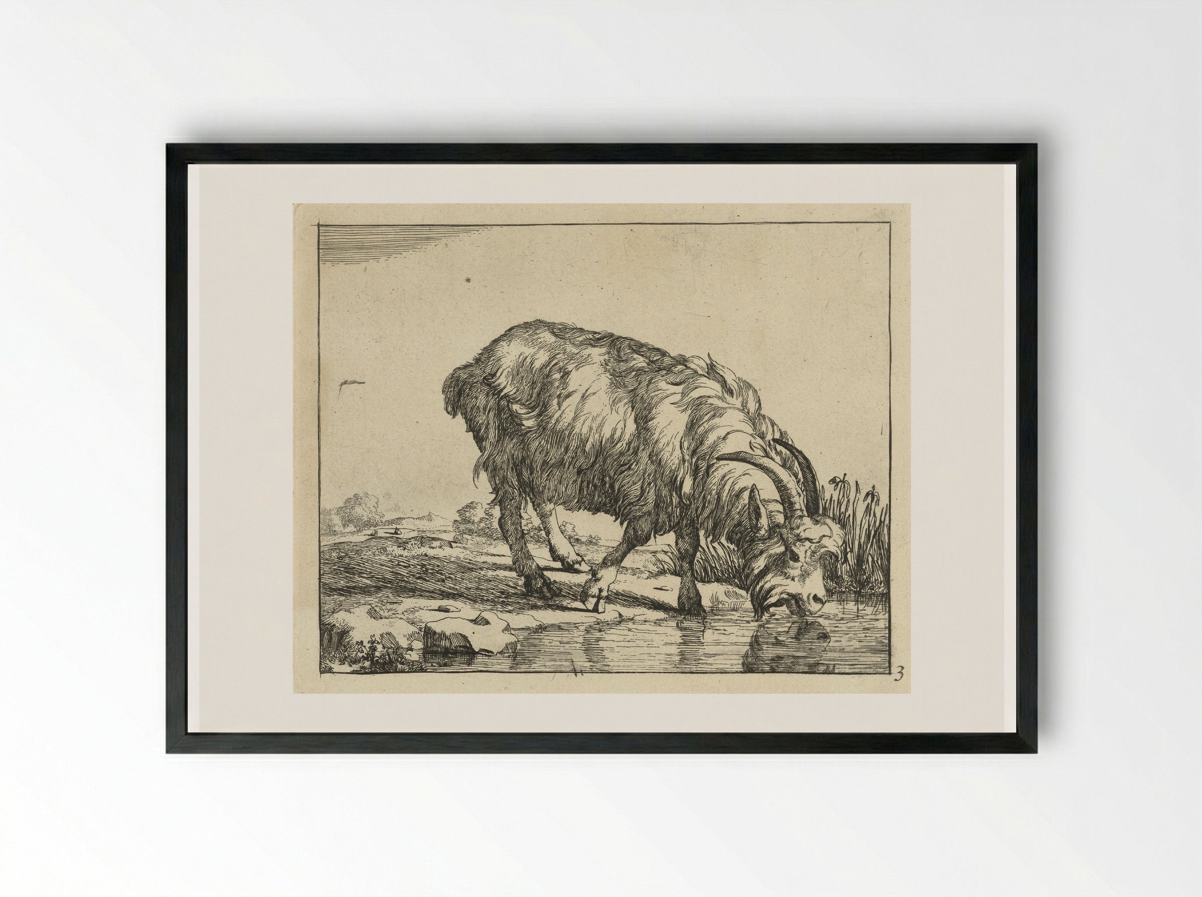 Drinkende bok - Marcus de Bye - Framed Print Black