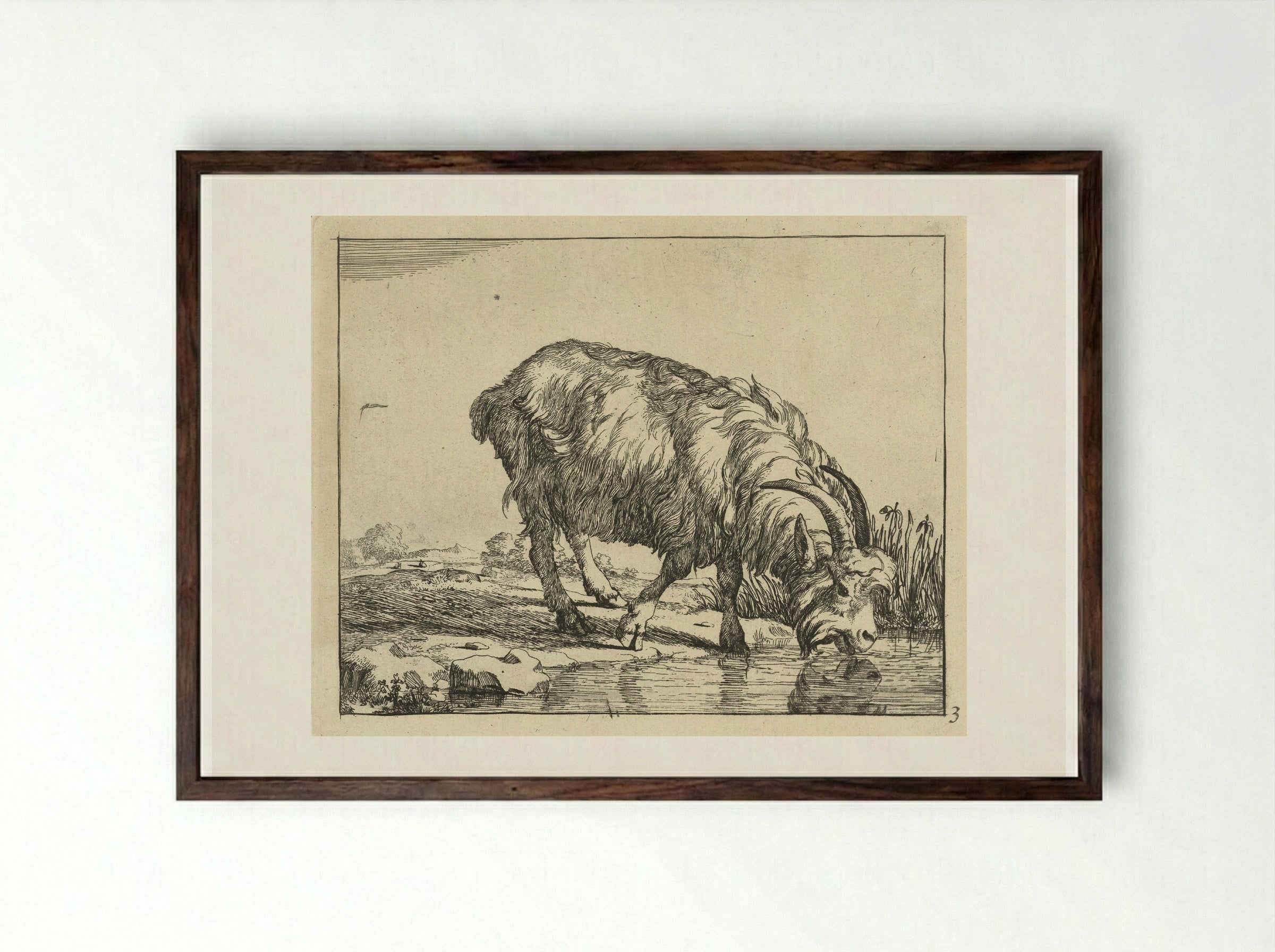 Drinkende bok - Marcus de Bye - Framed Print Dark Wood