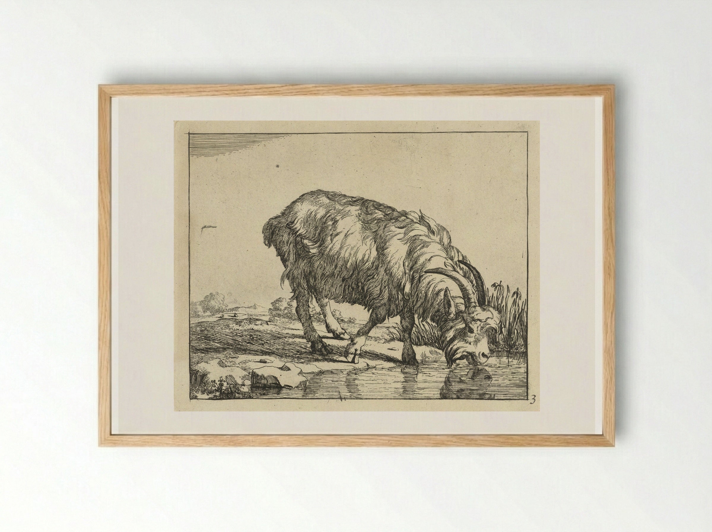 Drinkende bok - Marcus de Bye - Framed Print Wood
