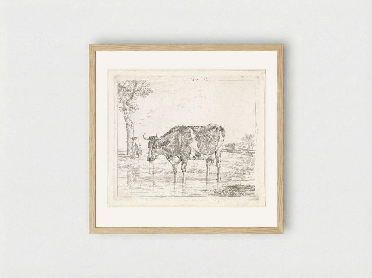 Drinkende koe - Wouter Johannes van Troostwijk - Framed Print Wood