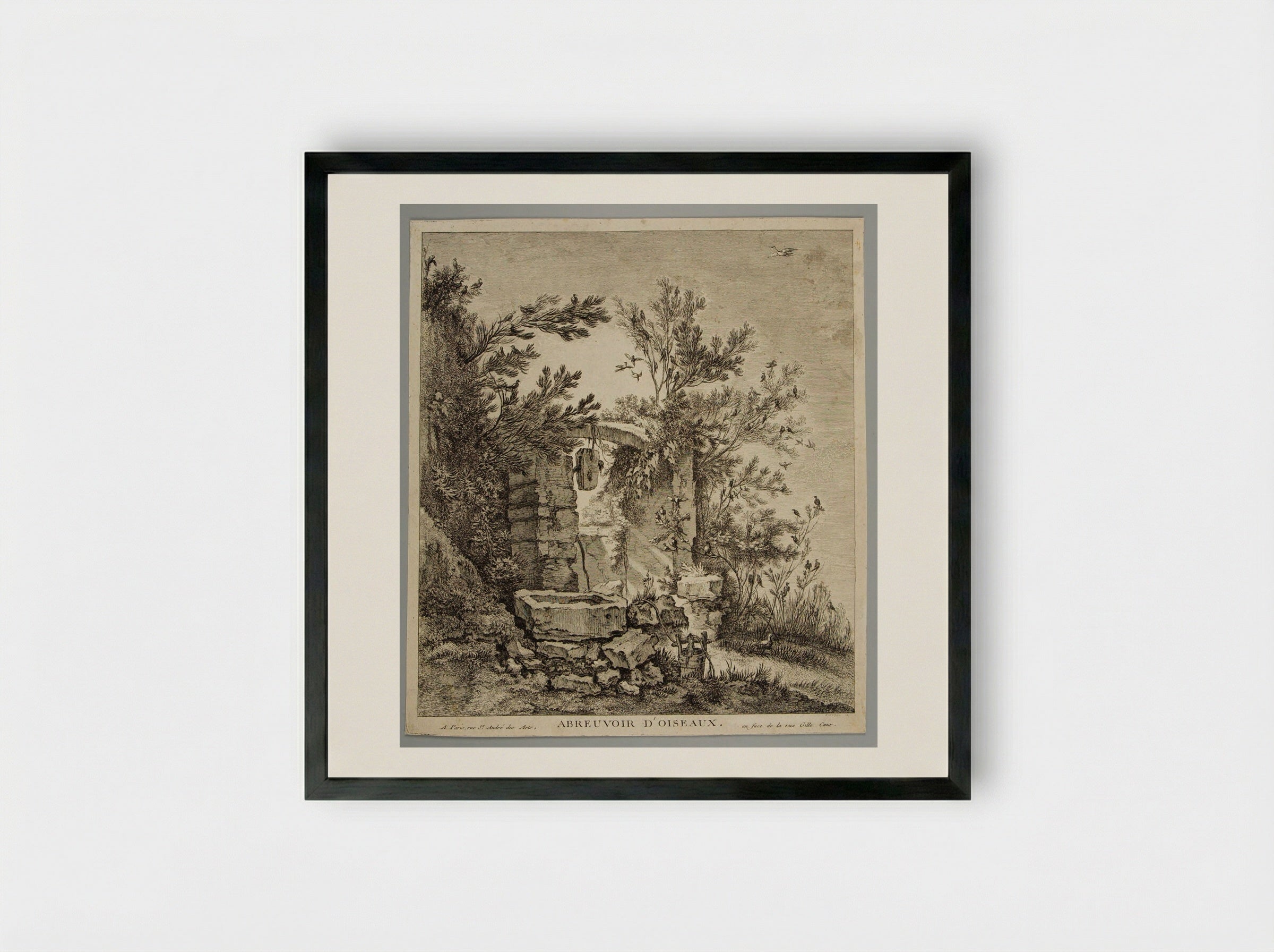 Drinking-Trough for Birds - Pierre-Quentin Chedel - Framed Print Black
