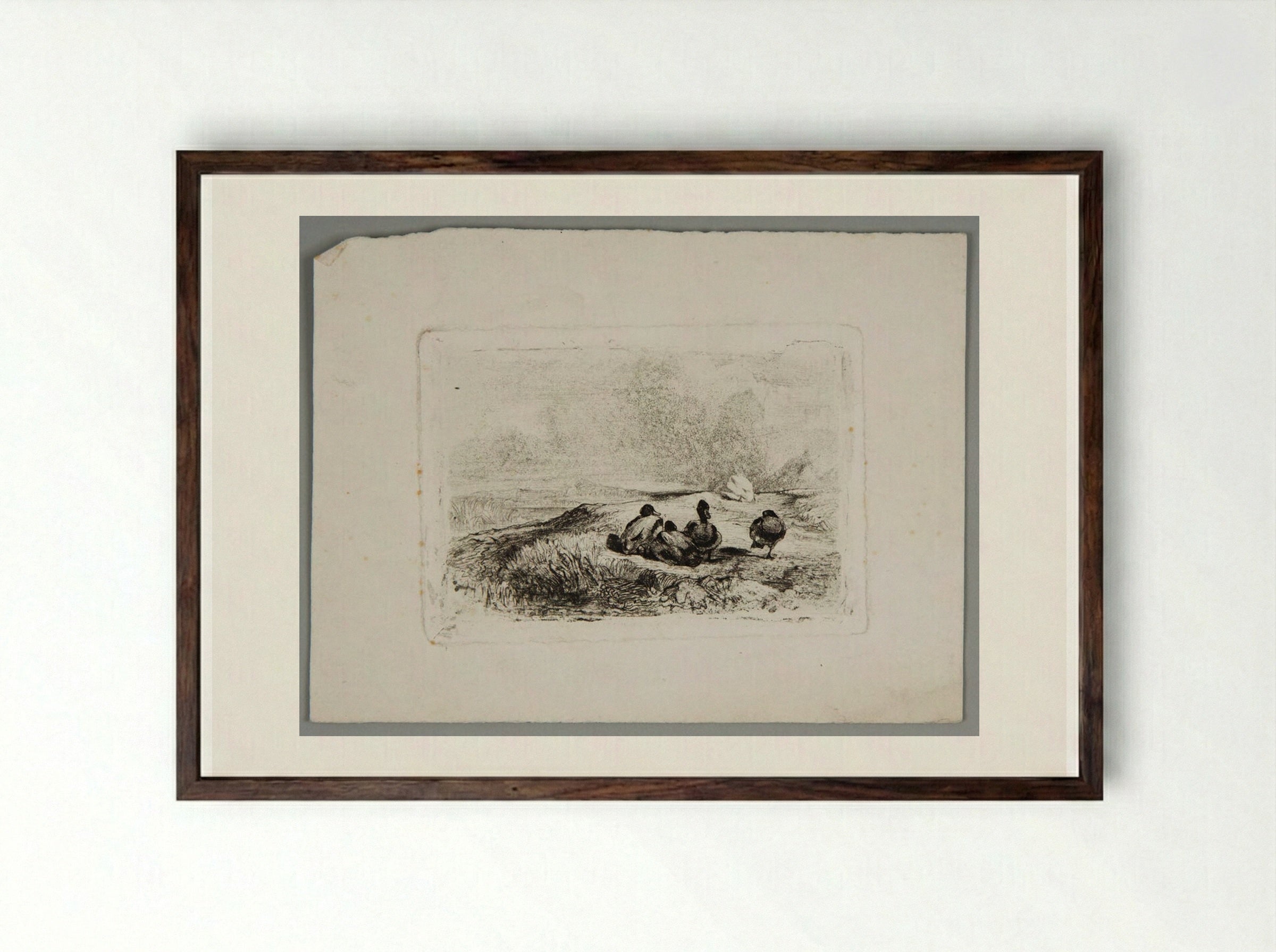 Ducks - Karl Bodmer - Framed Print Dark Wood