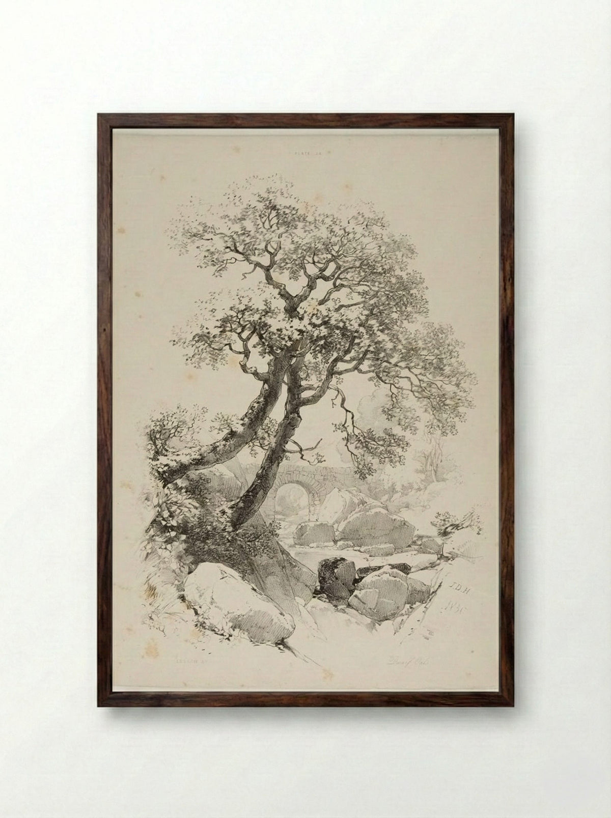 Dwarf Oaks - James Duffield Harding - Framed Print Dark Wood