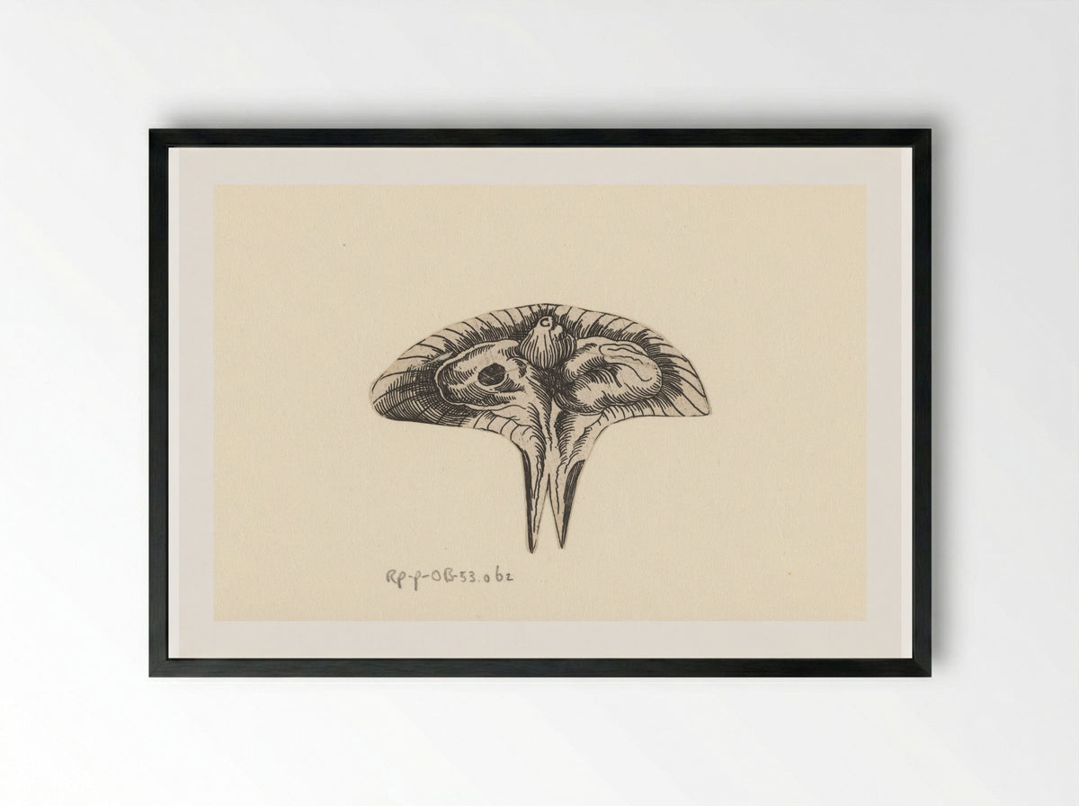 Dwarsdoorsnede baarmoeder - Lucas Kilian - Framed Print Black