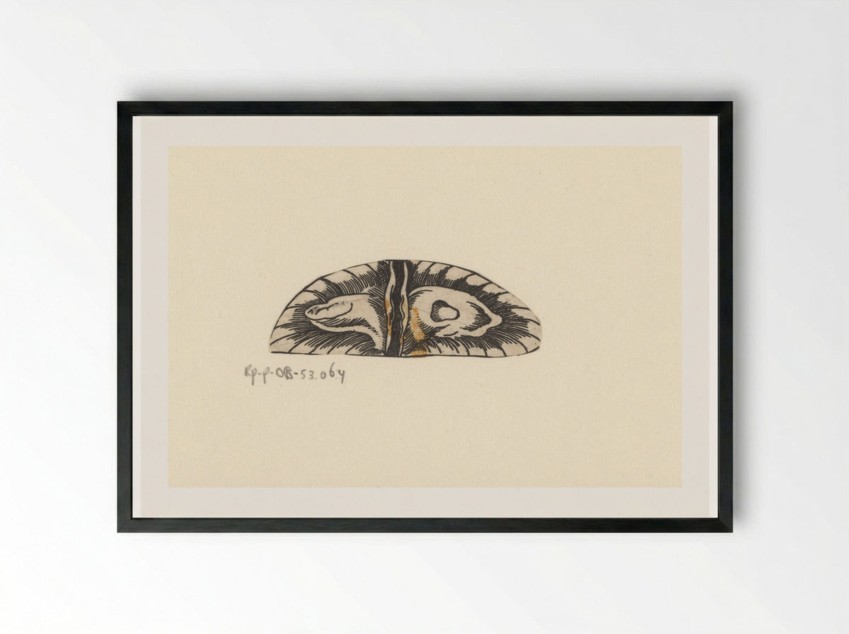 Dwarsdoorsnede blaas - Lucas Kilian - Framed Print Black