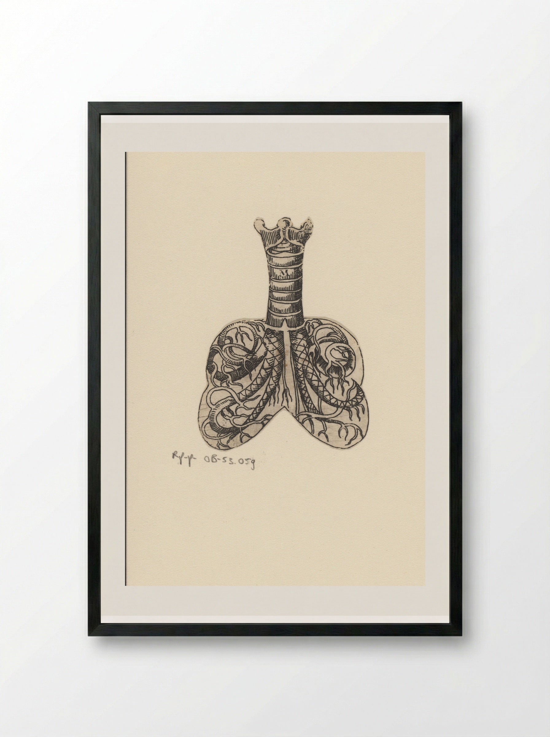 Dwarsdoorsnede luchtpijp en longen - Lucas Kilian - Framed Print Black