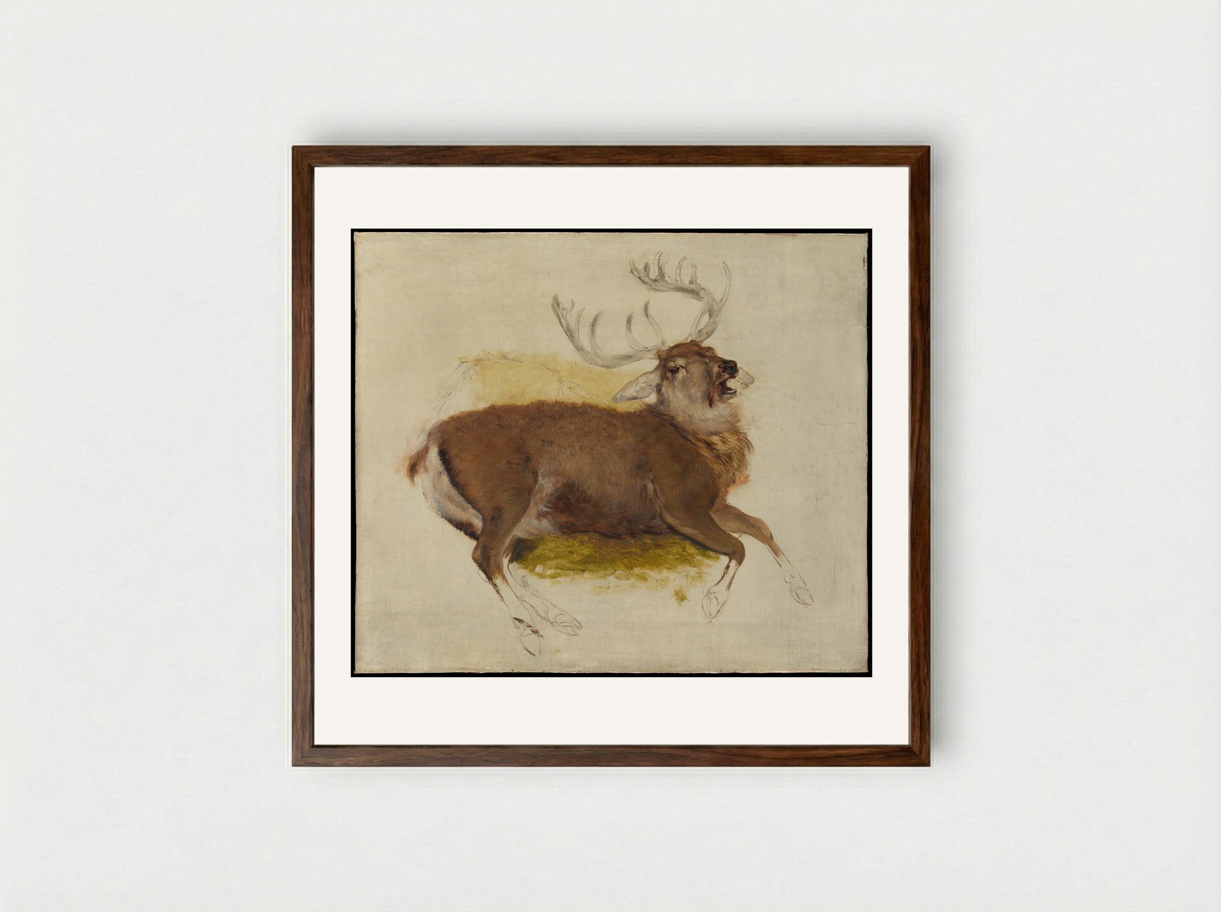 Dying Stag - Sir Edwin Henry Landseer - Framed Print Dark Wood