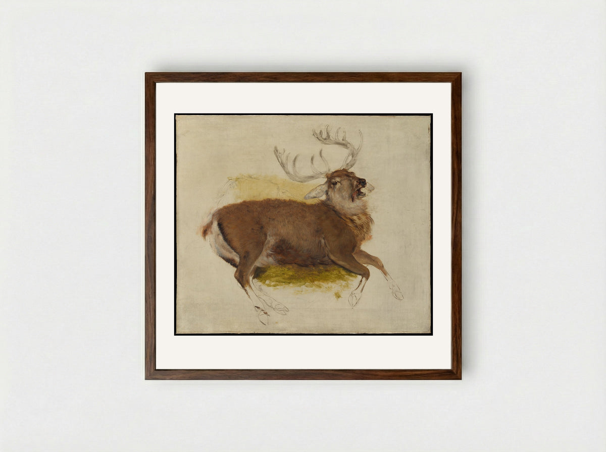 Dying Stag - Sir Edwin Henry Landseer - Framed Print Dark Wood