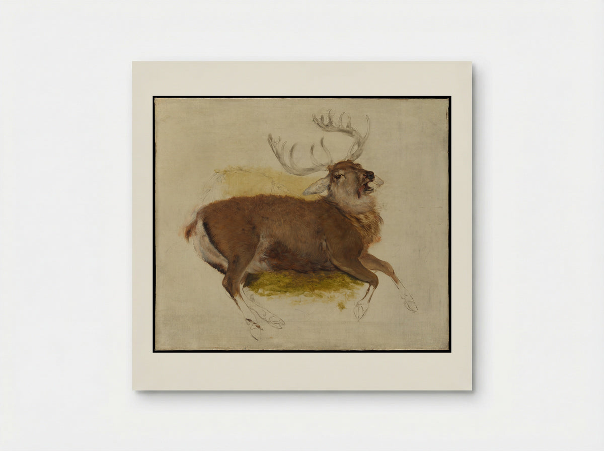 Dying Stag - Sir Edwin Henry Landseer - Poster