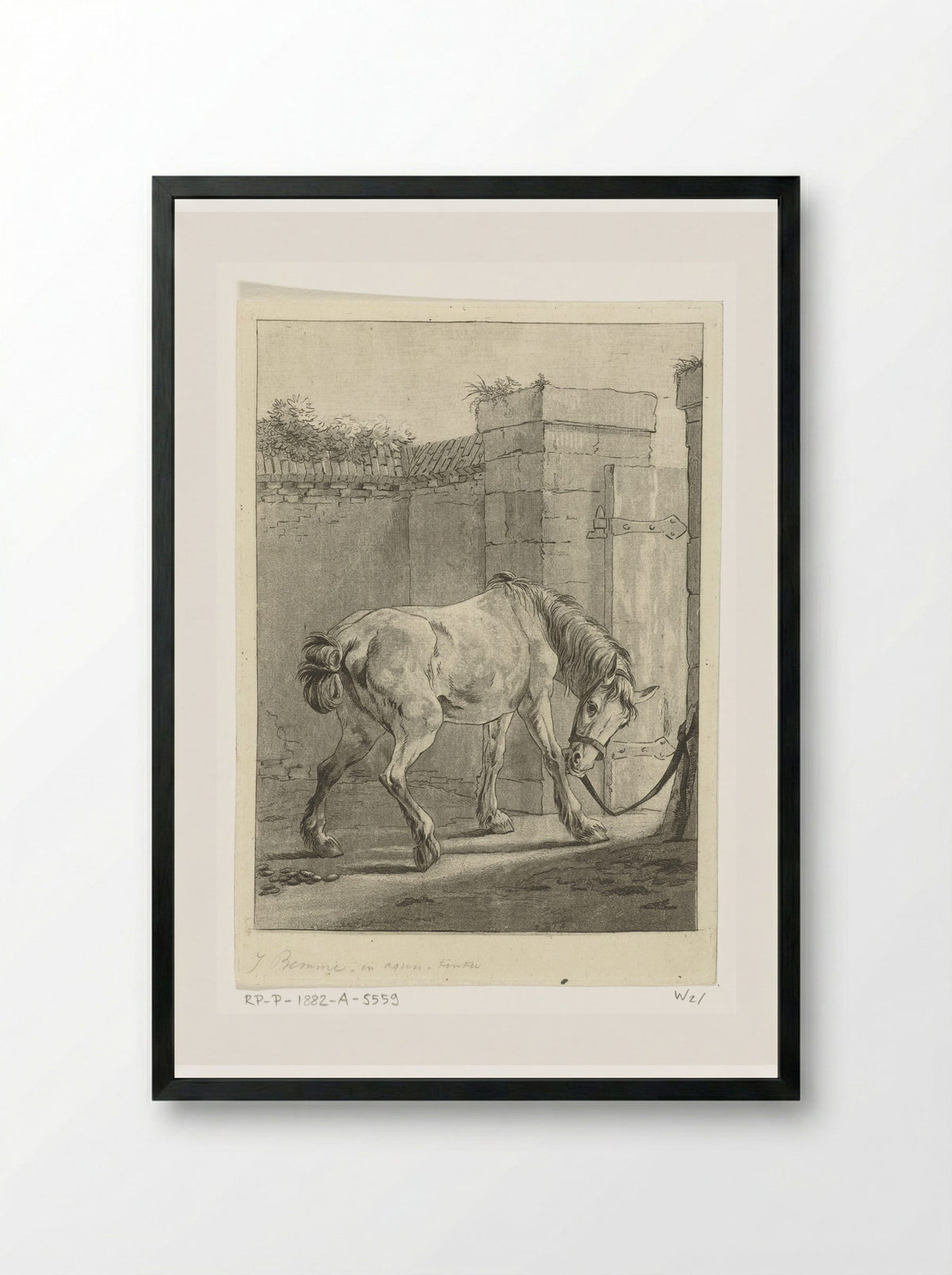 Een paard aan een paal vastgebonden - Joannes Bemme - Framed Print Black