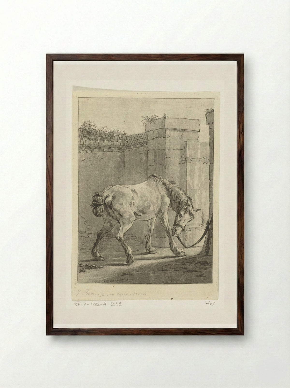 Een paard aan een paal vastgebonden - Joannes Bemme - Framed Print Dark Wood