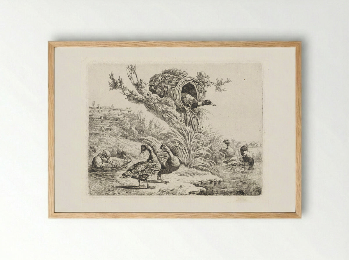 Eenden aan een waterkant - Albertus Verhoesen - Framed Print Wood