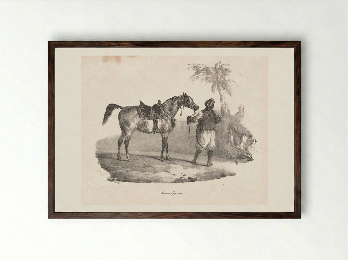 Egyptian Mare - Théodore Géricault - Framed Print Dark Wood