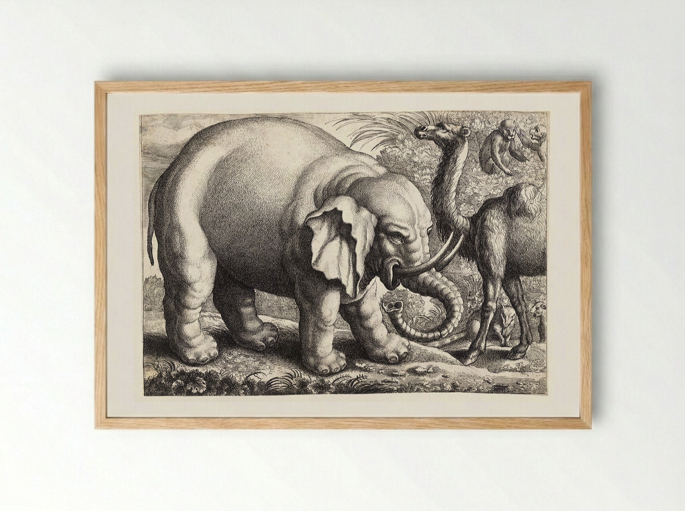 Elephant and Camel - Wenceslaus Hollar - Framed Print Wood