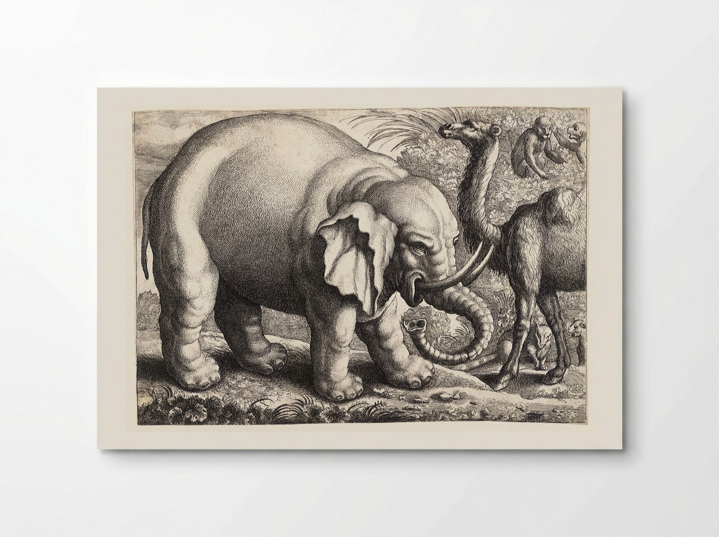 Elephant and Camel - Wenceslaus Hollar - Poster
