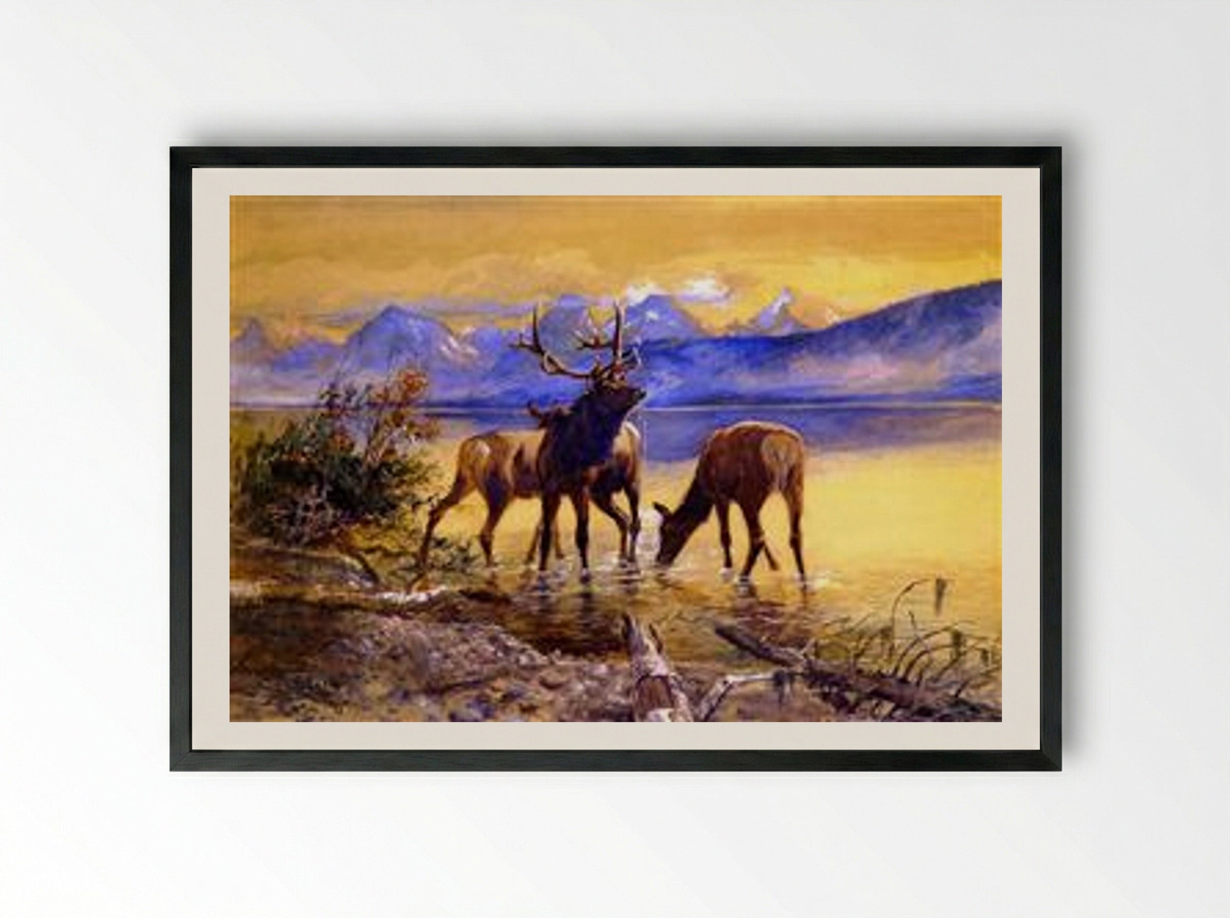 Elk in Lake McDonald - Charles M. Russell - Framed Print Black