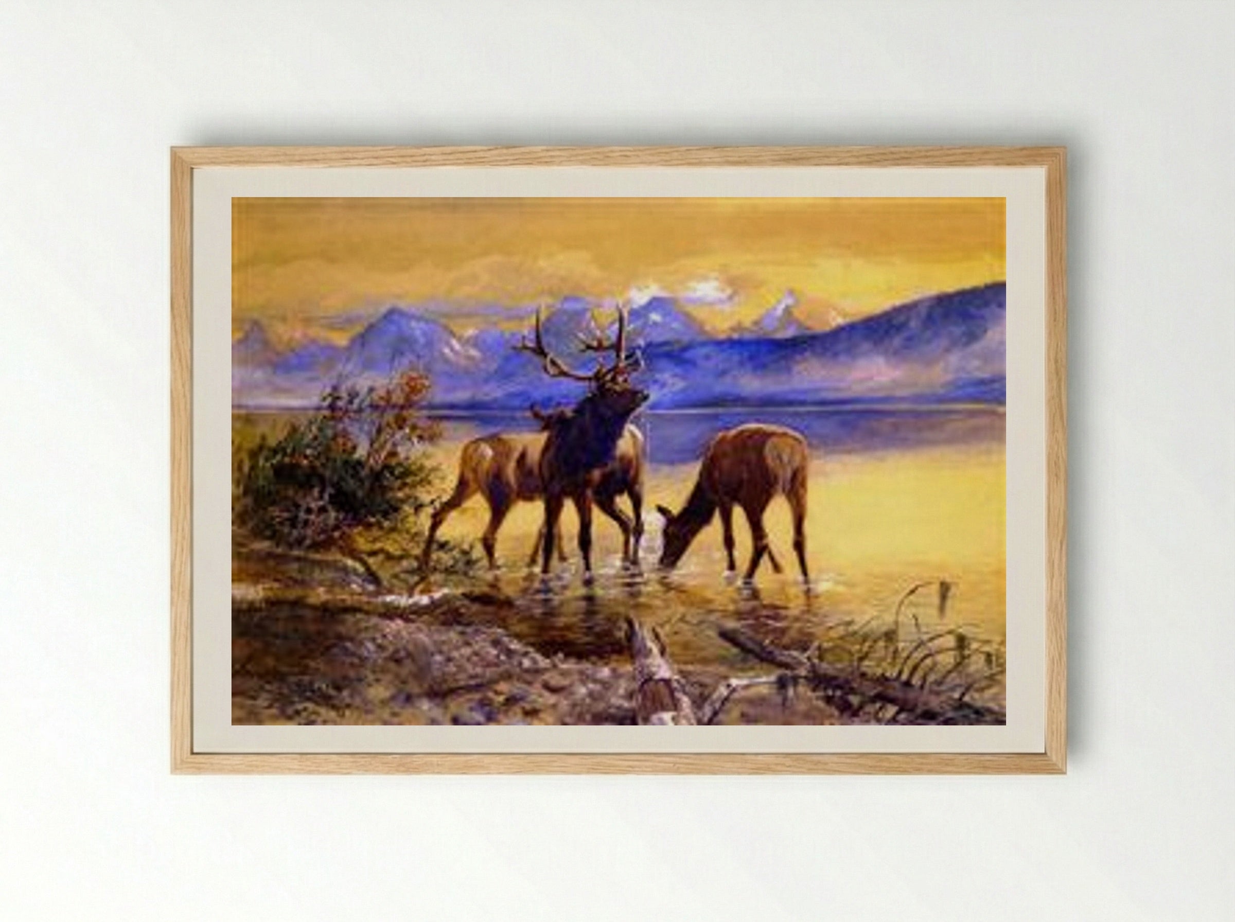 Elk in Lake McDonald - Charles M. Russell - Framed Print Wood