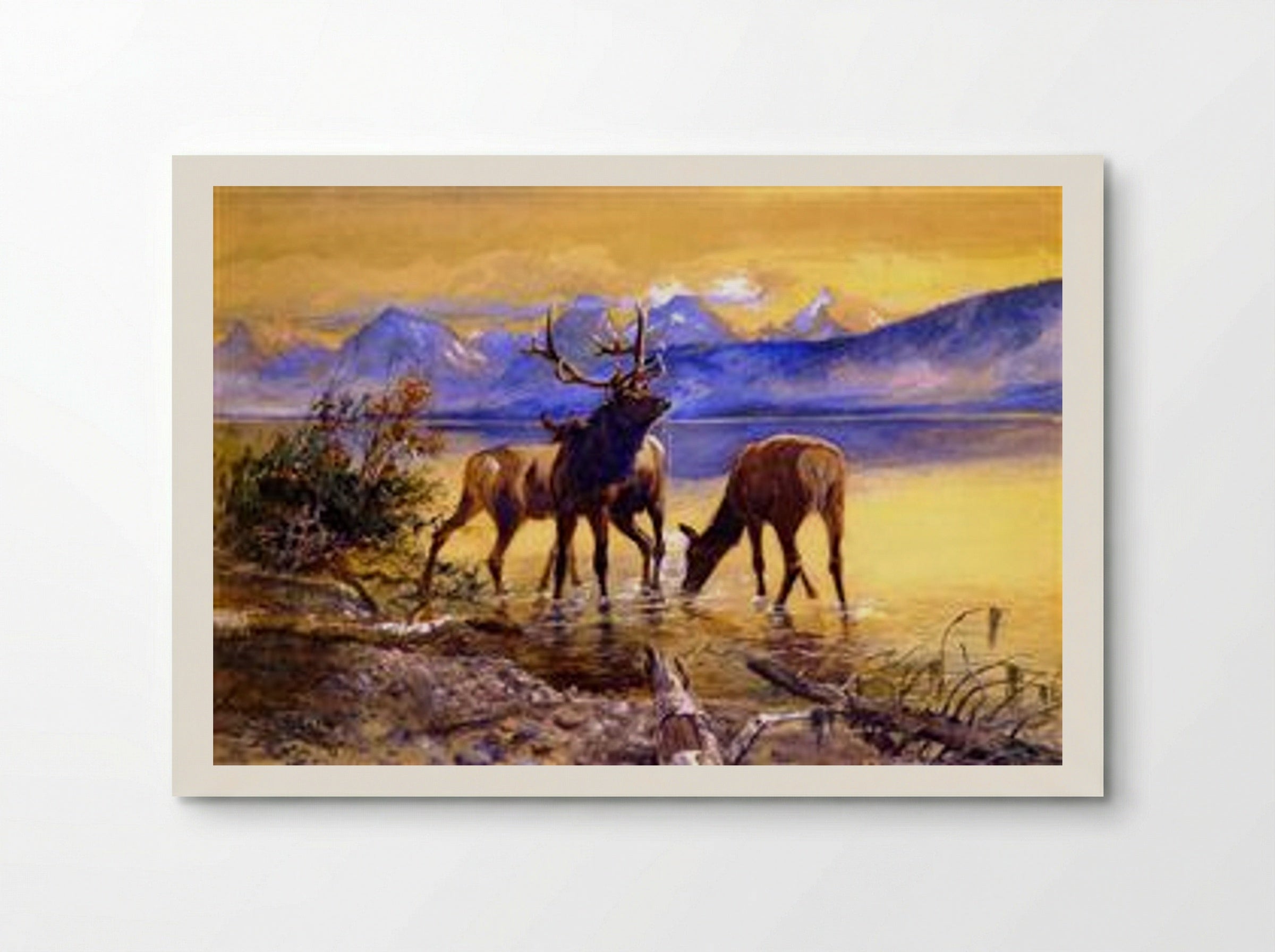 Elk in Lake McDonald - Charles M. Russell - Poster