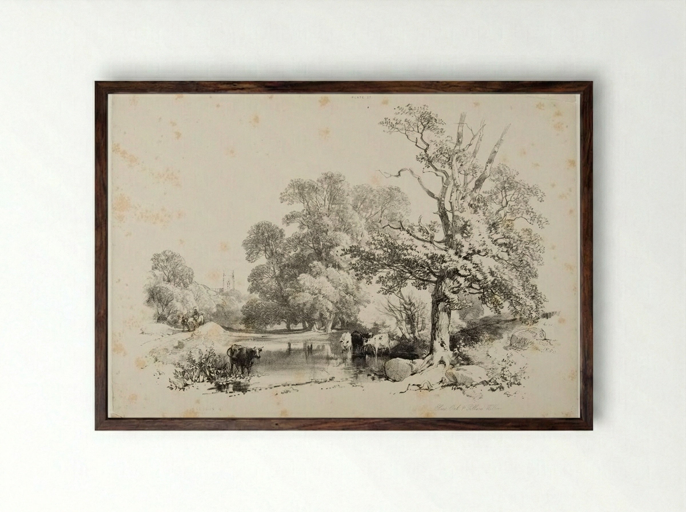 Elms, Oak and Pollard Willow - James Duffield Harding - Framed Print Dark Wood