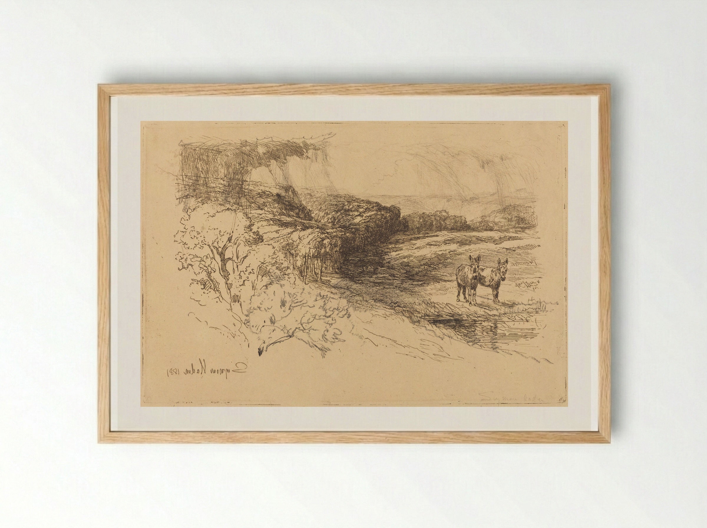 Encombe Woods - Francis Seymour Haden - Framed Print Wood