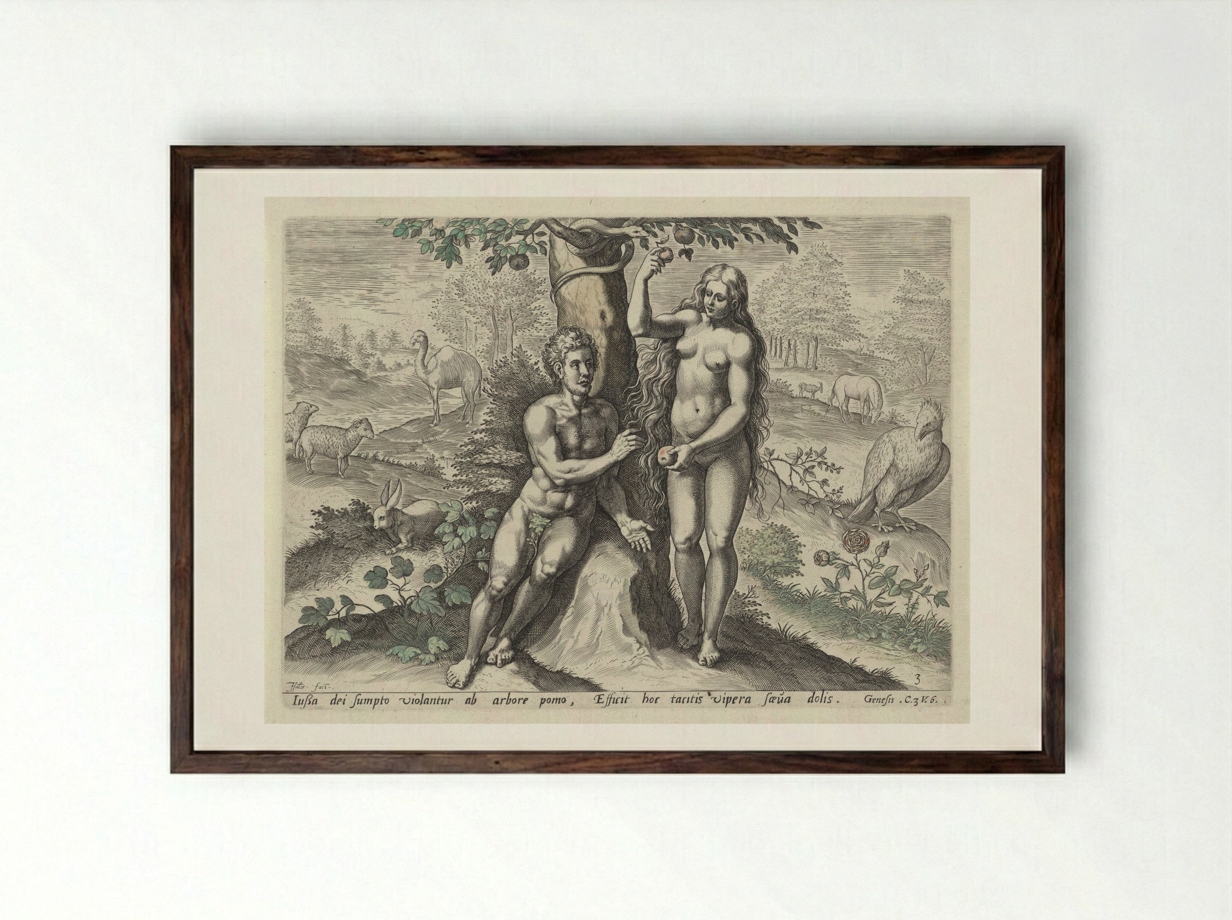 Eva verleidt Adam - Claes Jansz. Visscher (II) - Framed Print Dark Wood