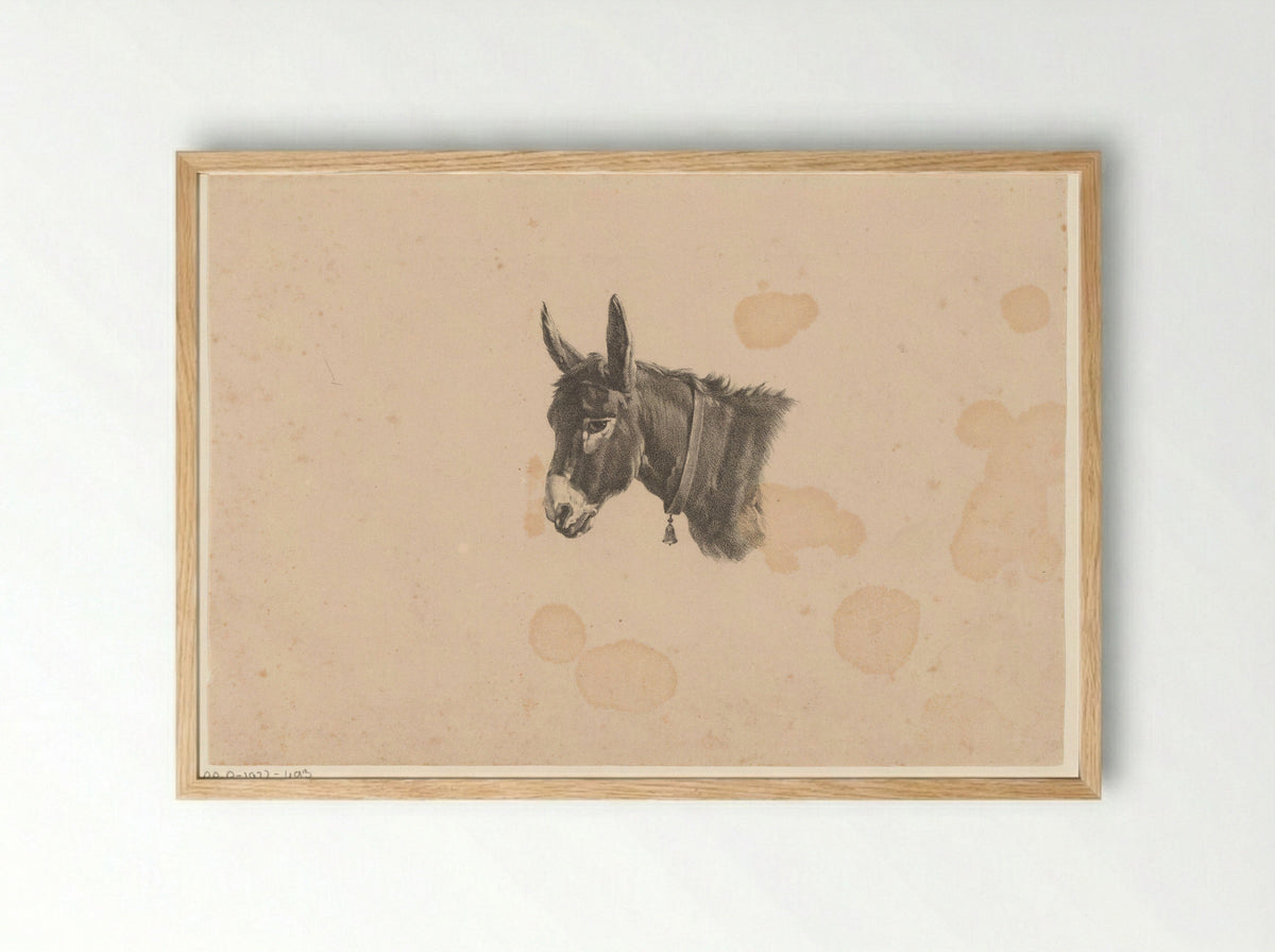 Ezel met bel om zijn hals - Jean Zacherie Mazel - Framed Print Wood