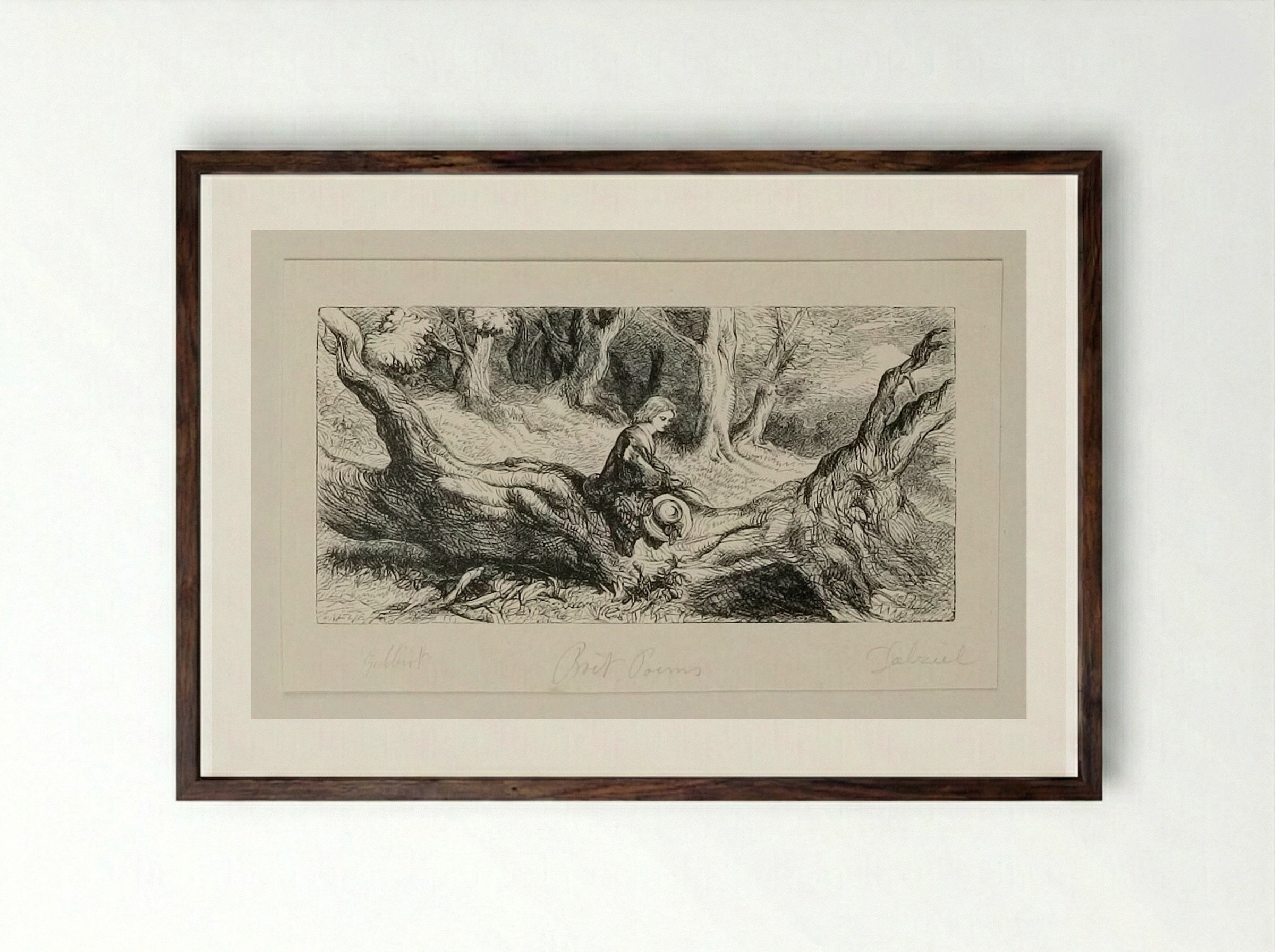 Fallen Tree - Edward Dalziel - Framed Print Dark Wood