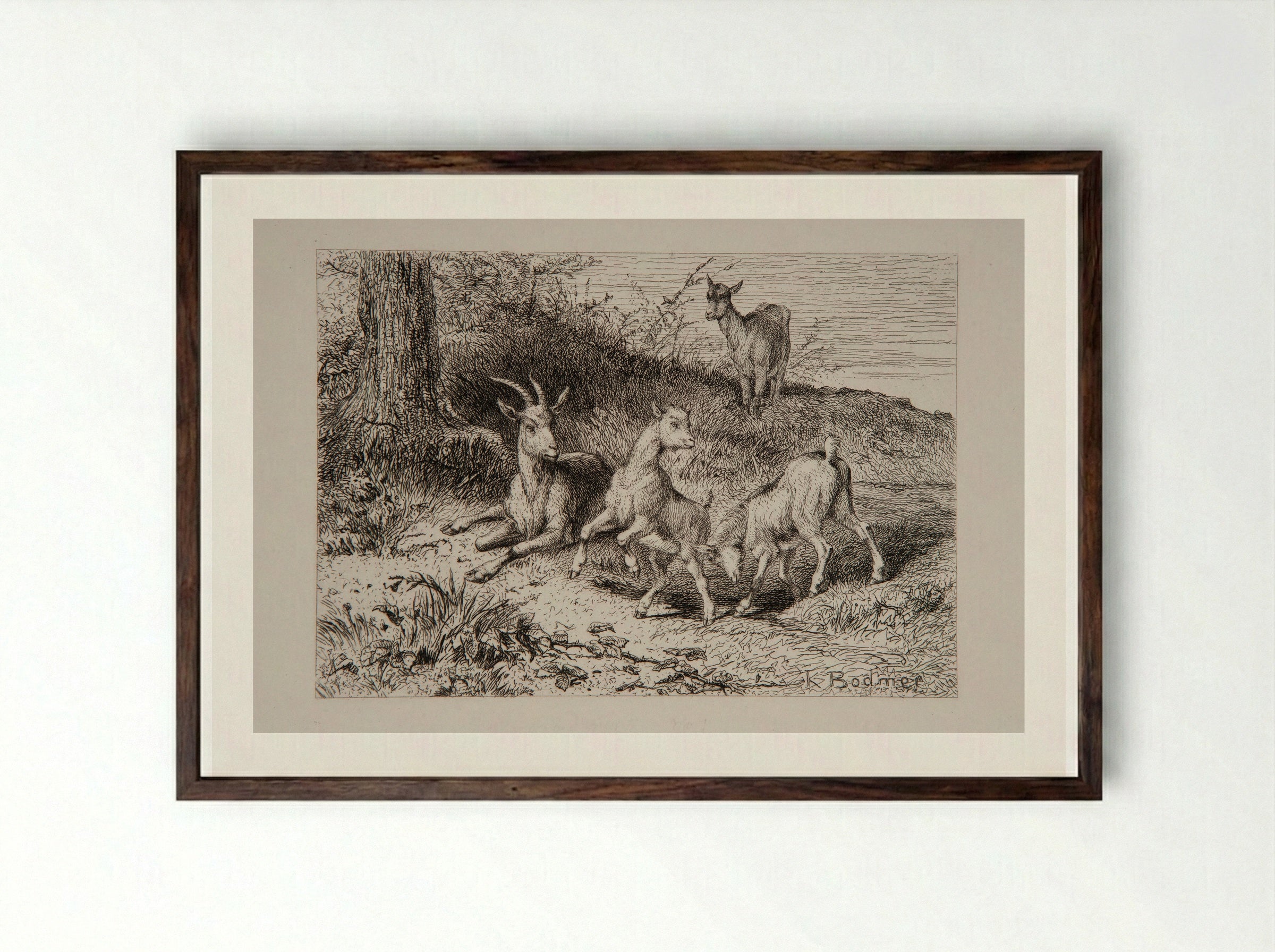 Family of Goats - Karl Bodmer - Framed Print Dark Wood