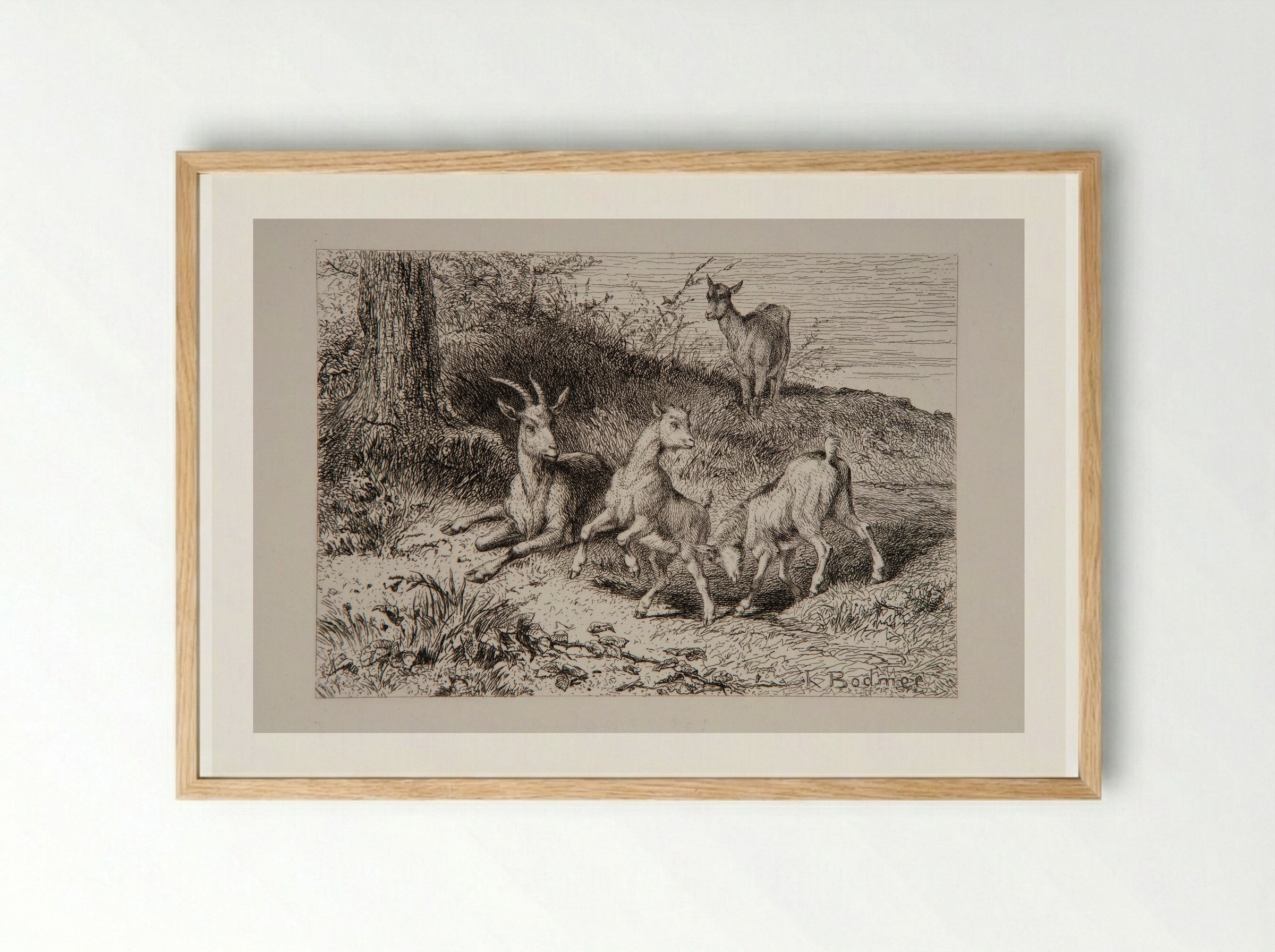 Family of Goats - Karl Bodmer - Framed Print Wood