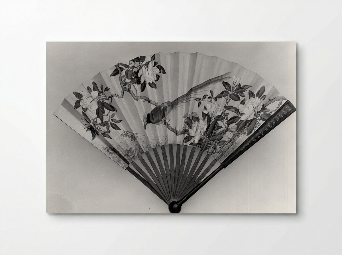 Fan (Bird and Magnolia) - Giuseppe Castiglione (Lang Shining) - Poster